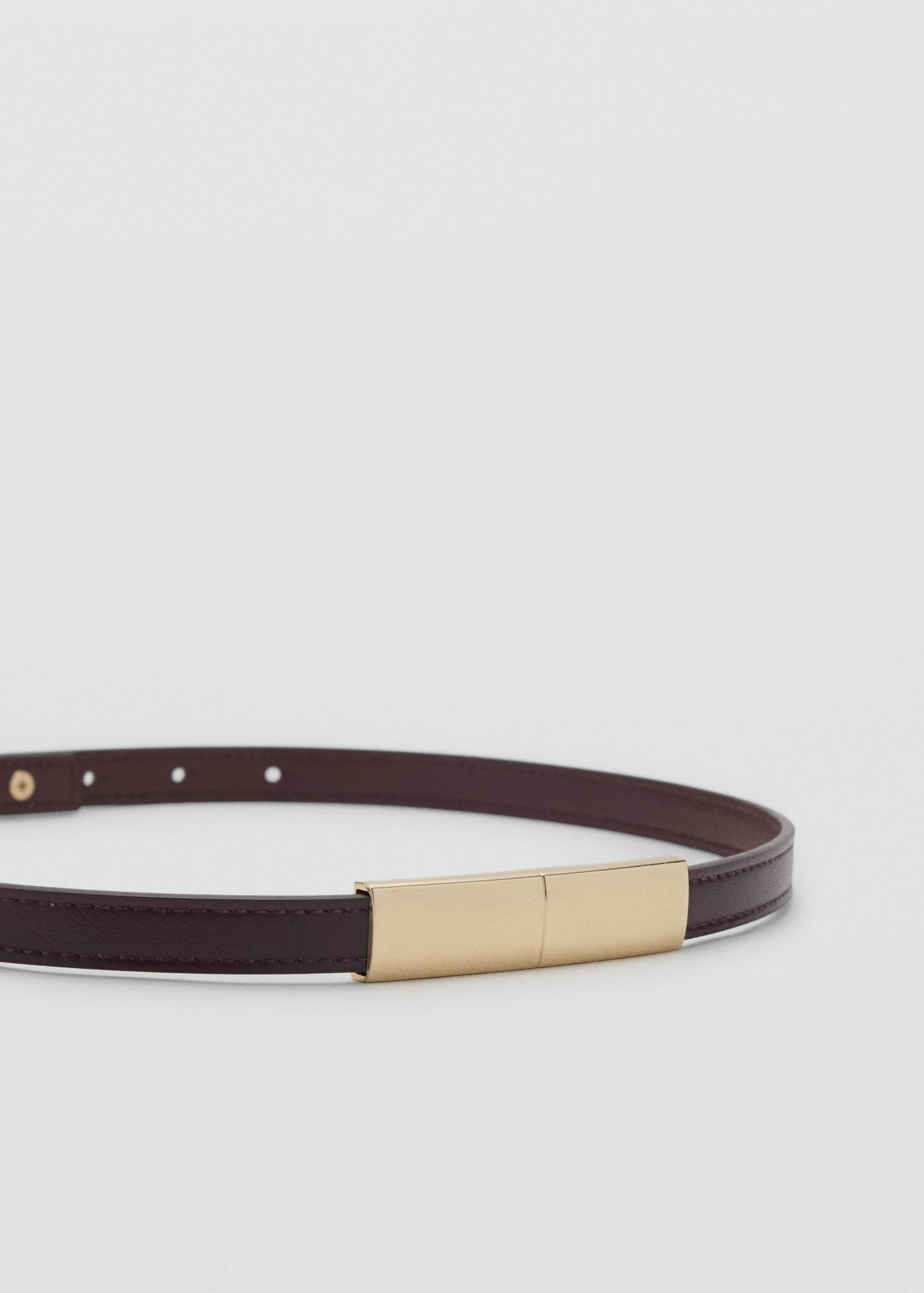 Thin belt with metal detail - Details of the article 1