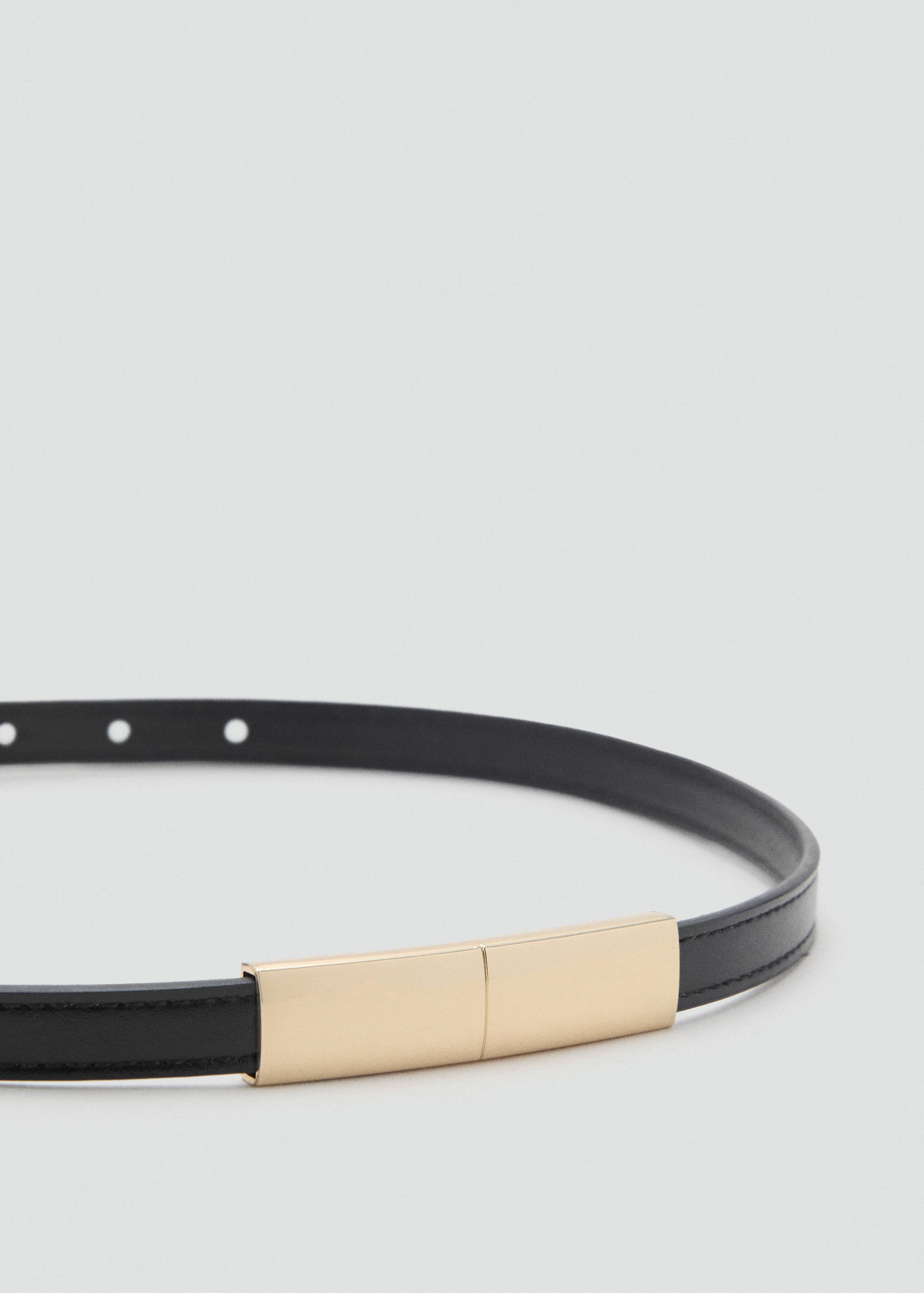 Thin belt with metal detail - Medium plane