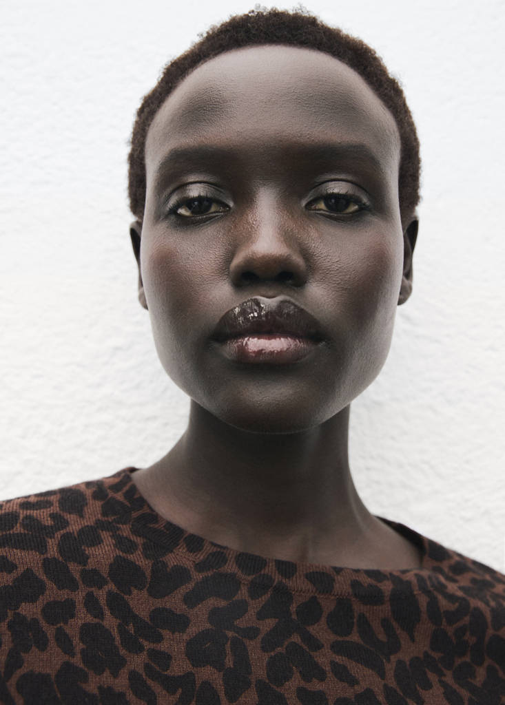 Ribbed leopard-print sweater — Chocolate
