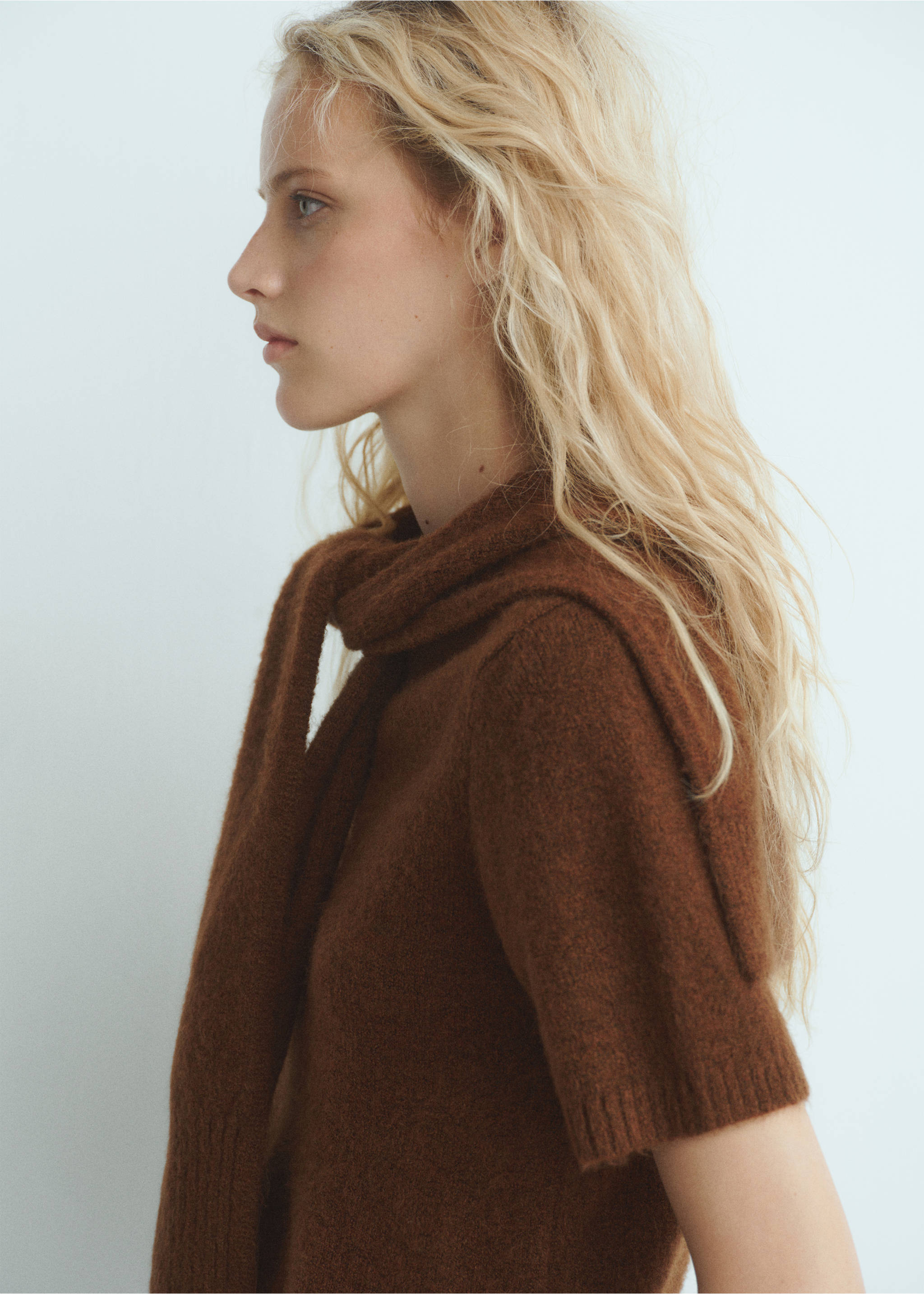 Pull manches courtes combiné - Détail de l'article 1, Marron. Ref: 17005839-00.