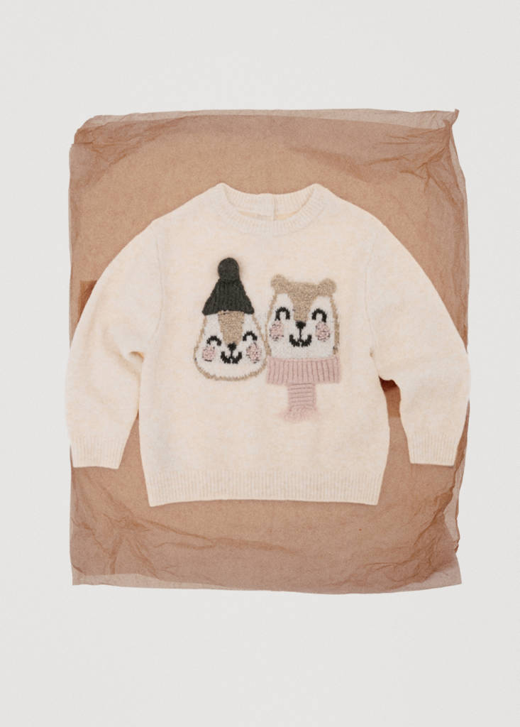 Knit embroidered sweater — Beige