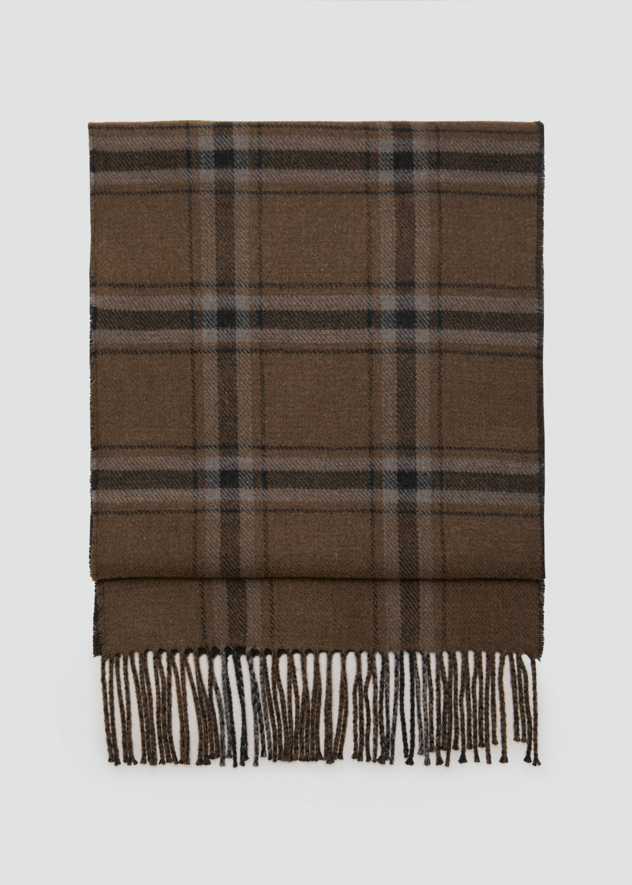 Check fringed scarf - Article without model