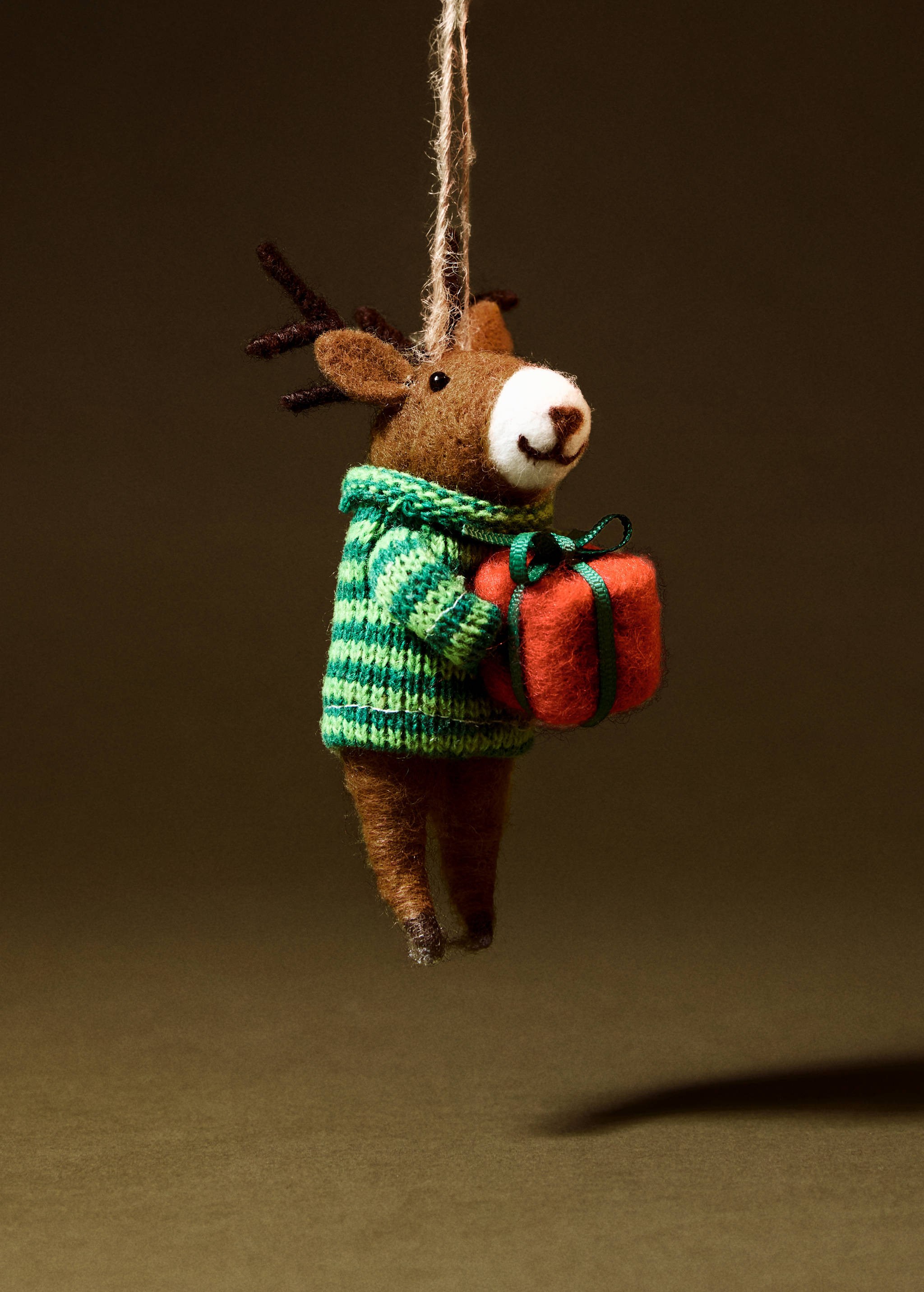 Ornament ren din fetru - Plan general