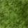 Couleur Vert