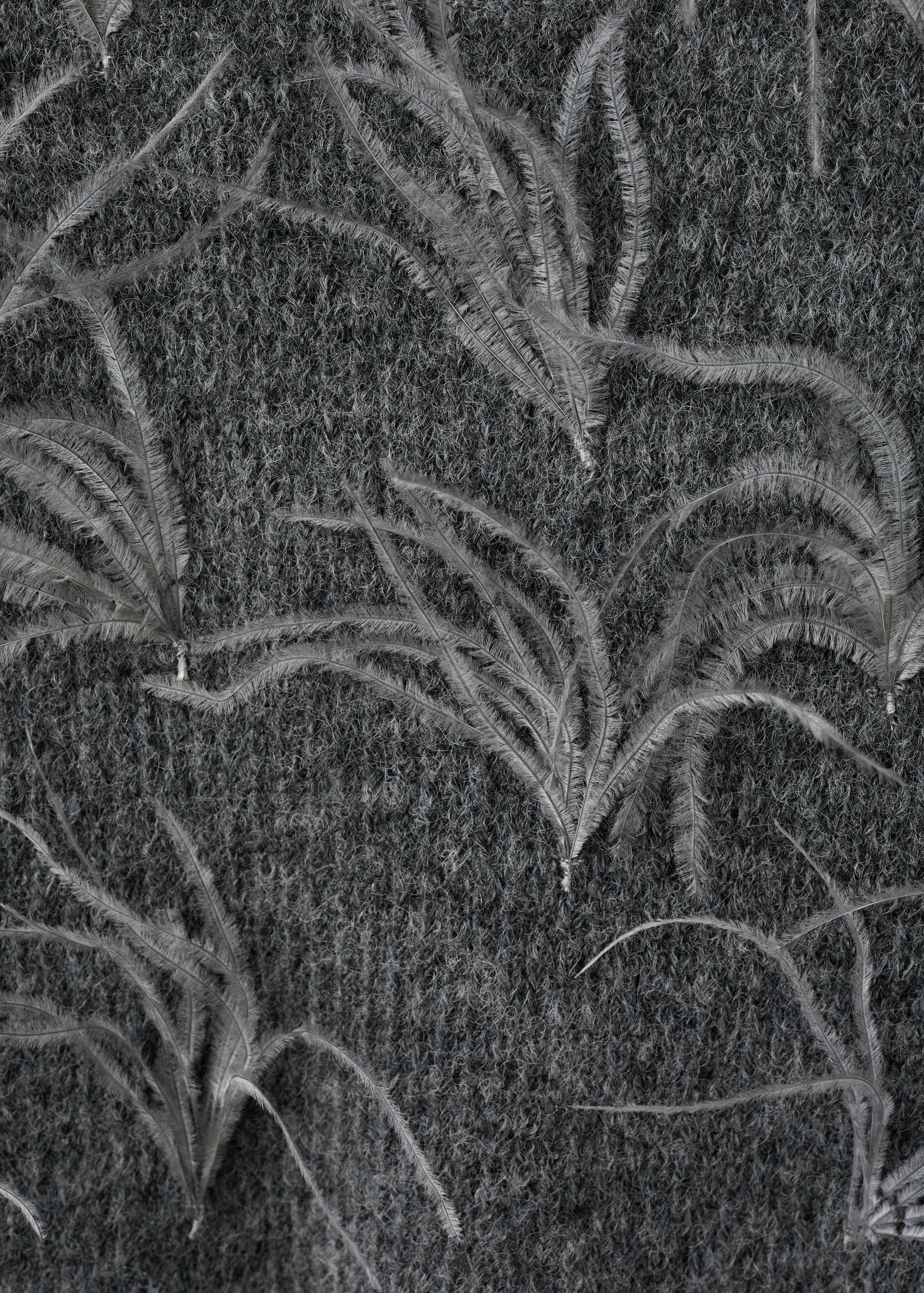 Knitted sweater with feathers - Details of the article 8