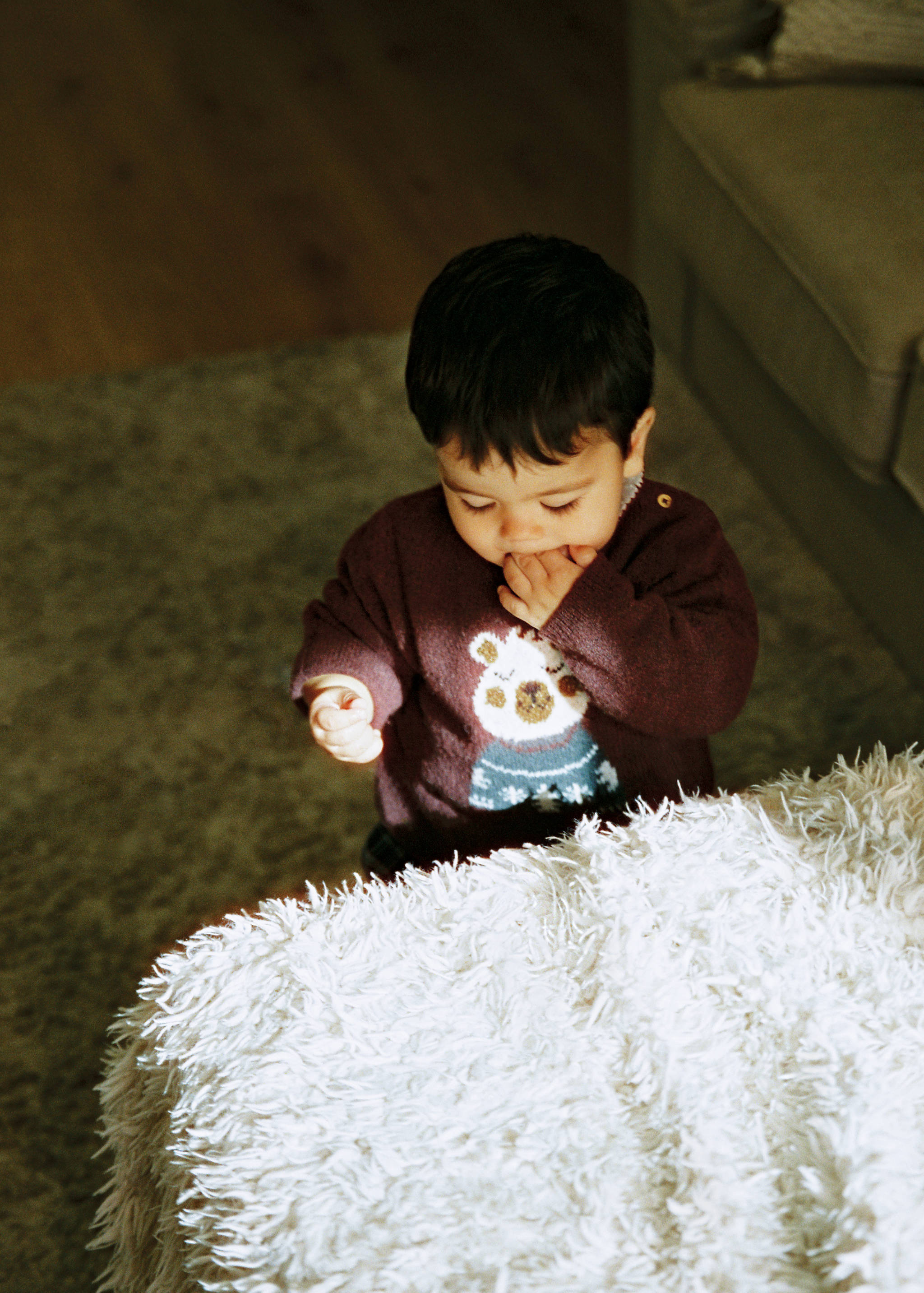 Chunky-knit bear sweater - Details of the article 5