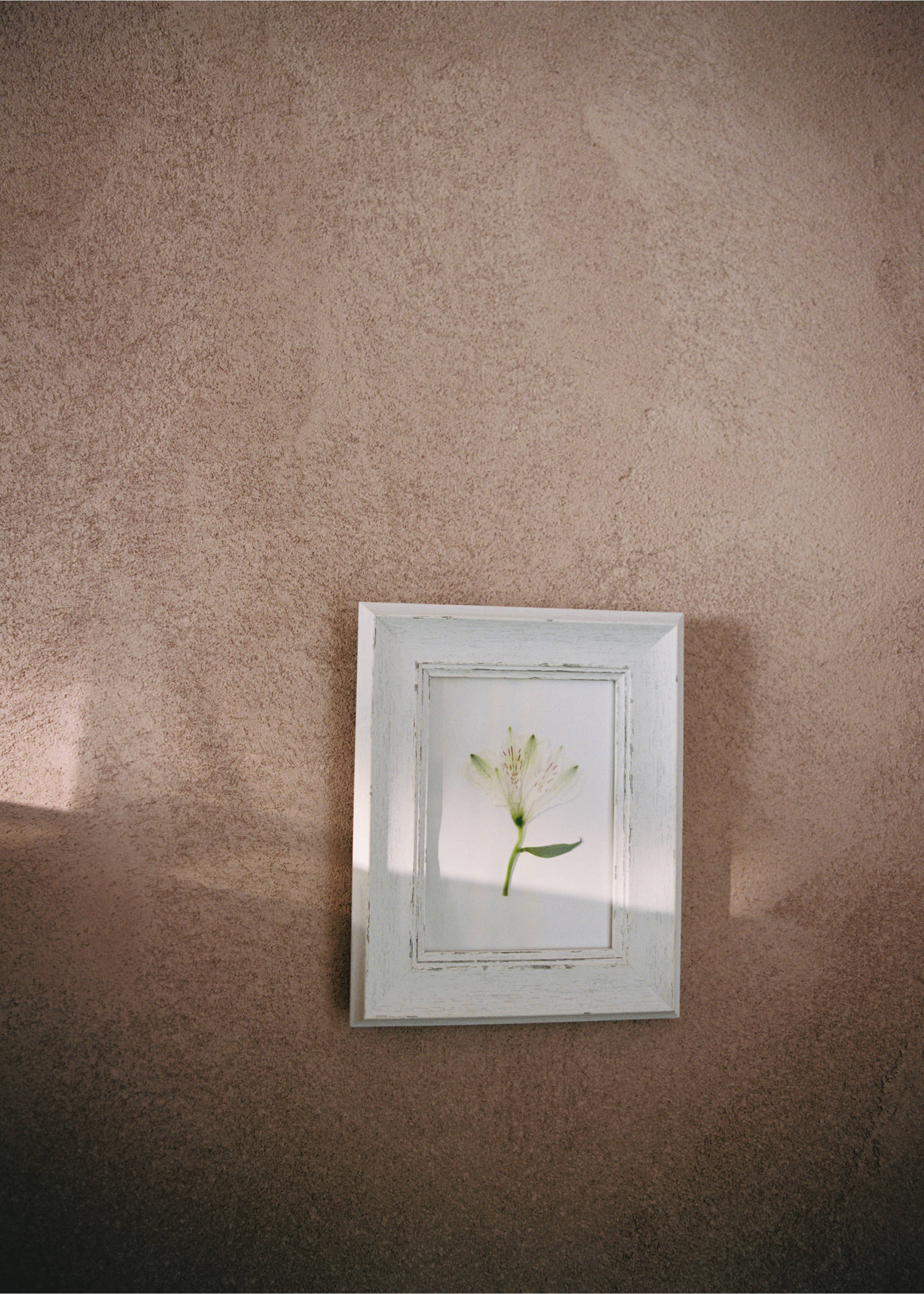 Frame with aged finish - Details of the article 6, White. Ref: 17011541-00.