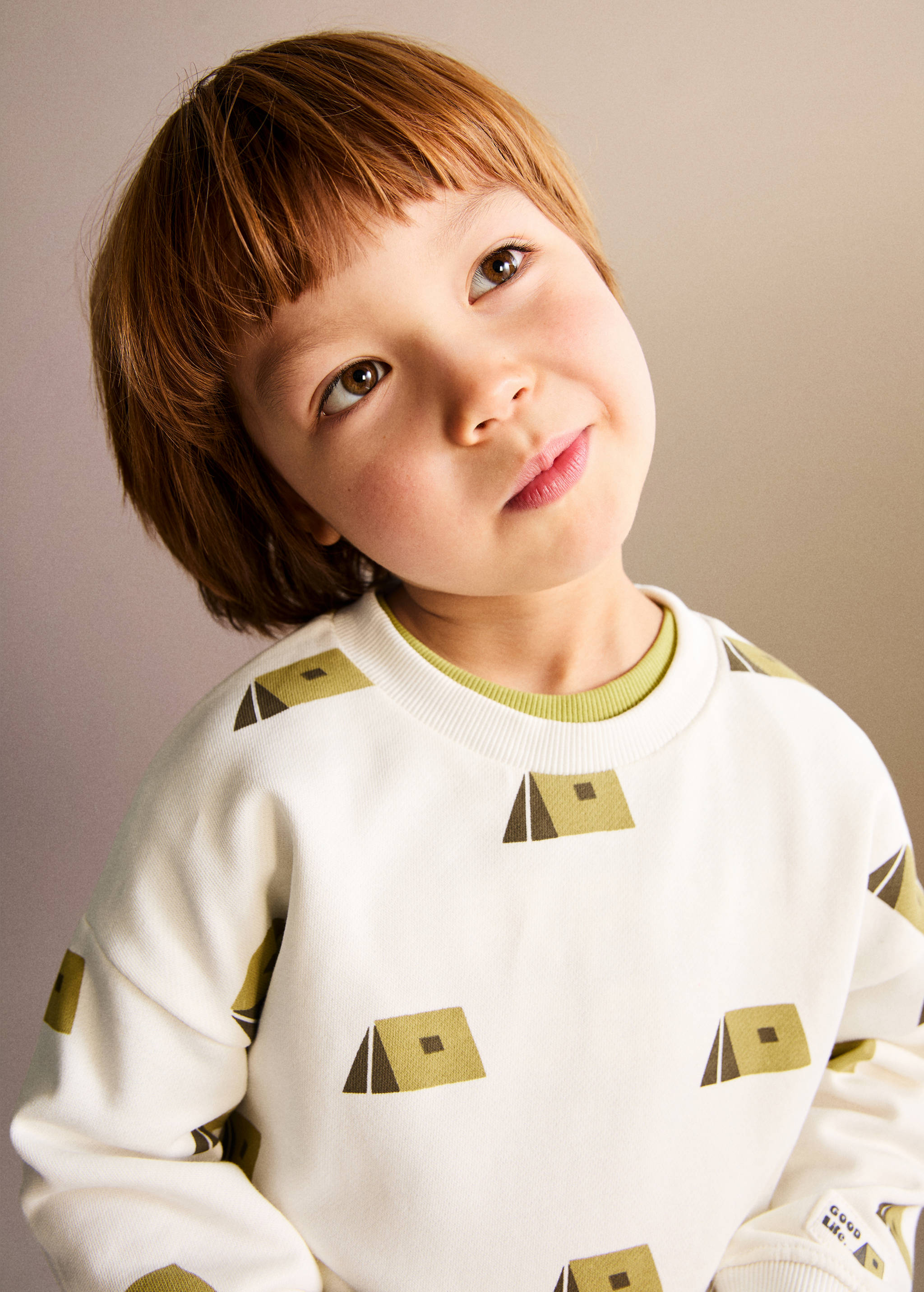 Printed cotton sweatshirt - Details of the article 1