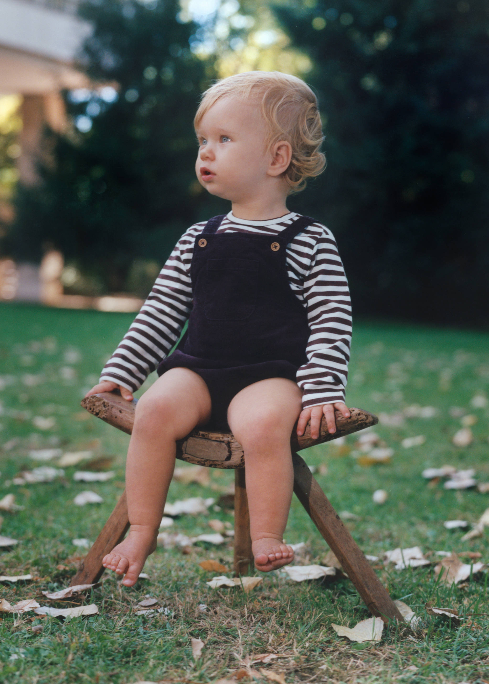 Babygro de bombazina - Pormenor do artigo 5