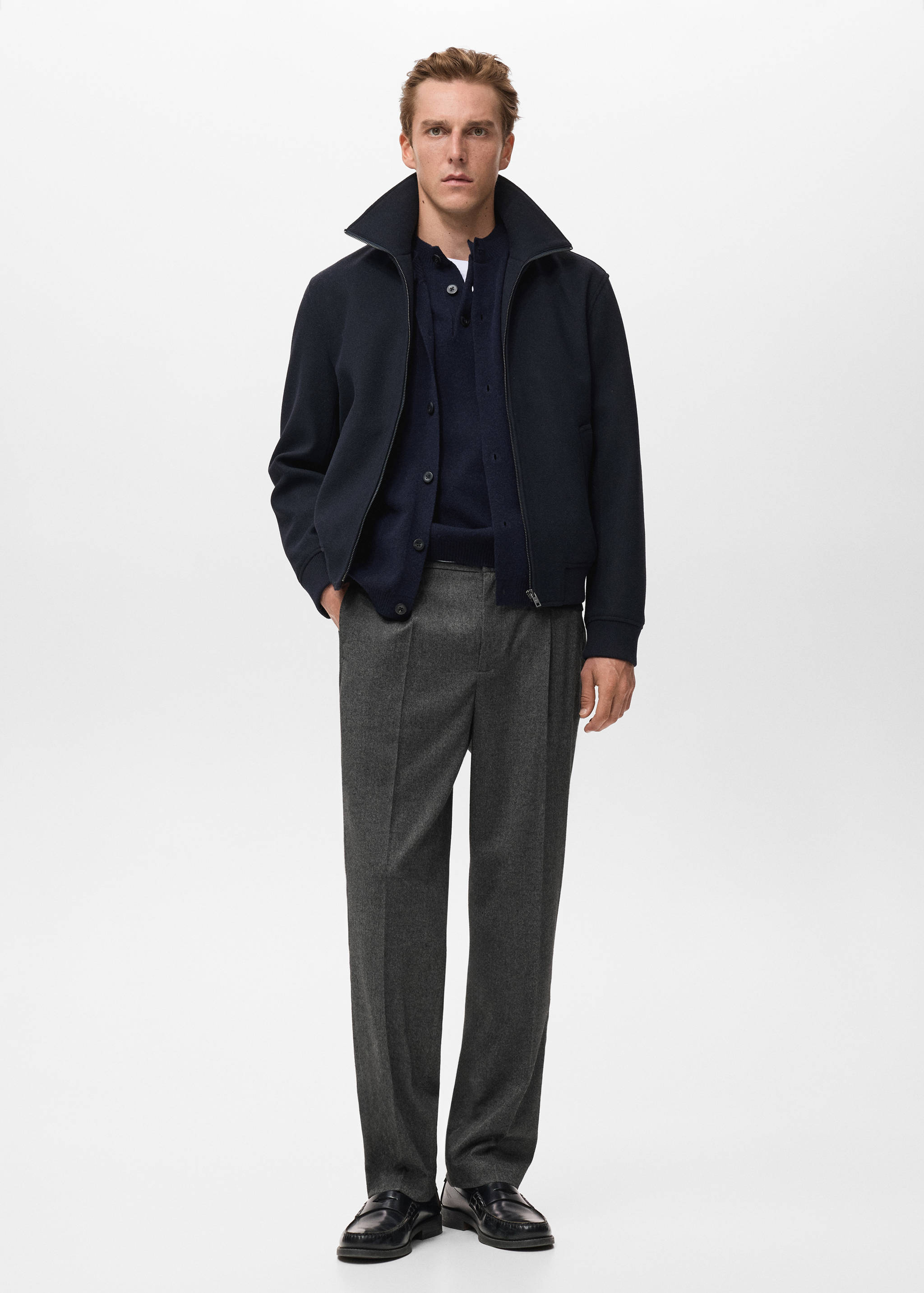 Regular-fit pleated flannel trousers - General plane