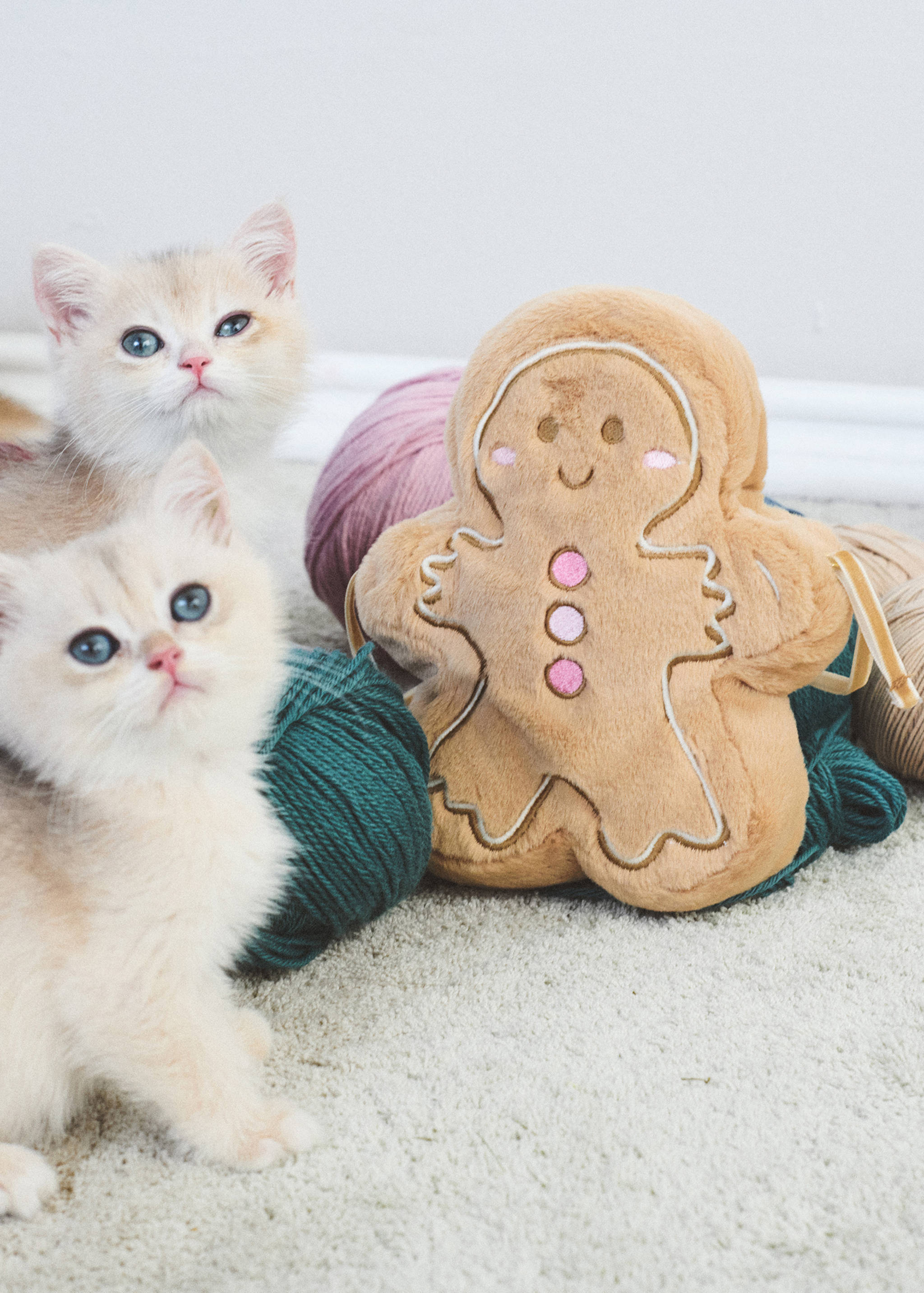 Сумка имбирное печенье - Общий план