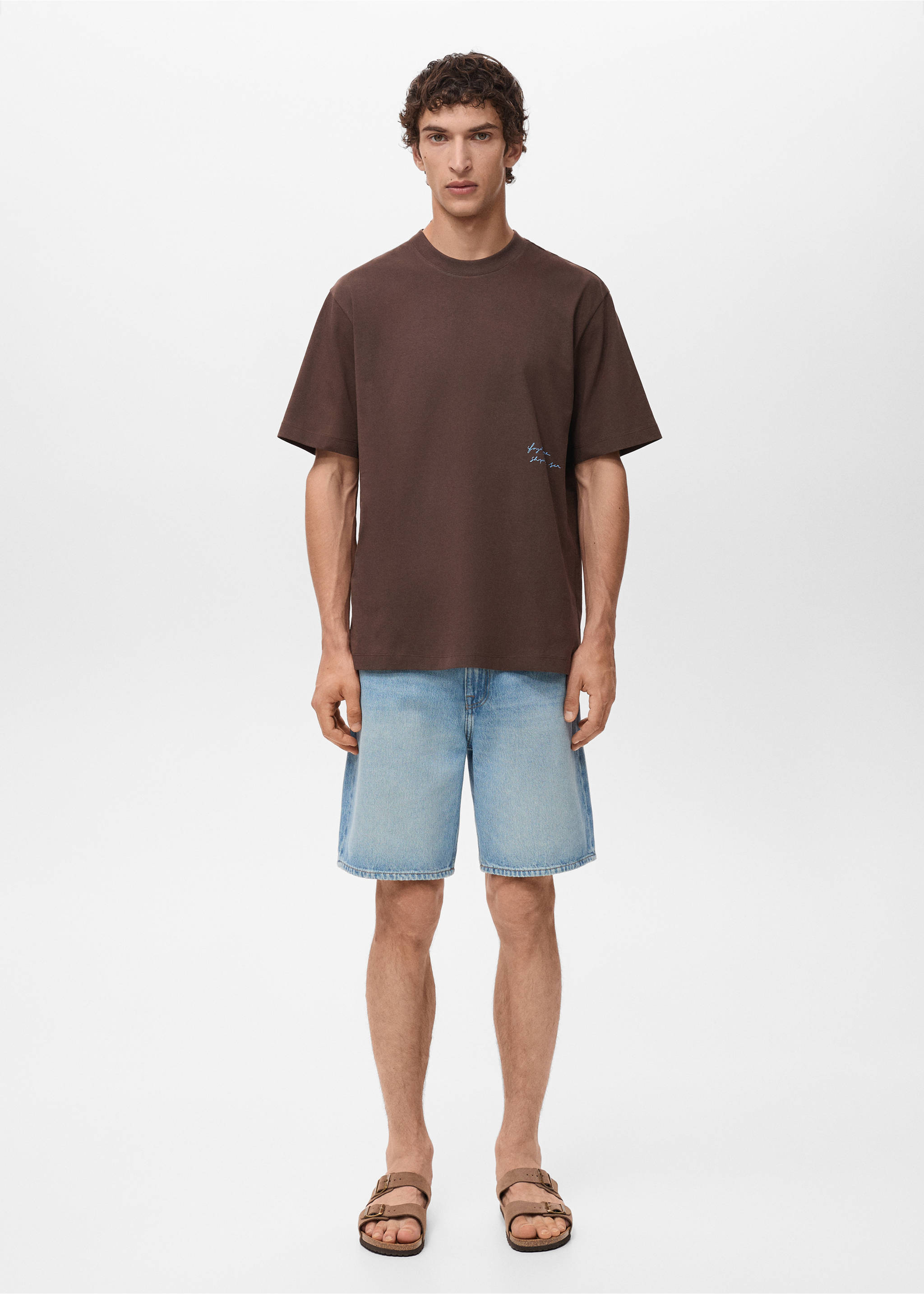 Camiseta parche estampado - Plano general, Marrón. Ref: 17021274-00.