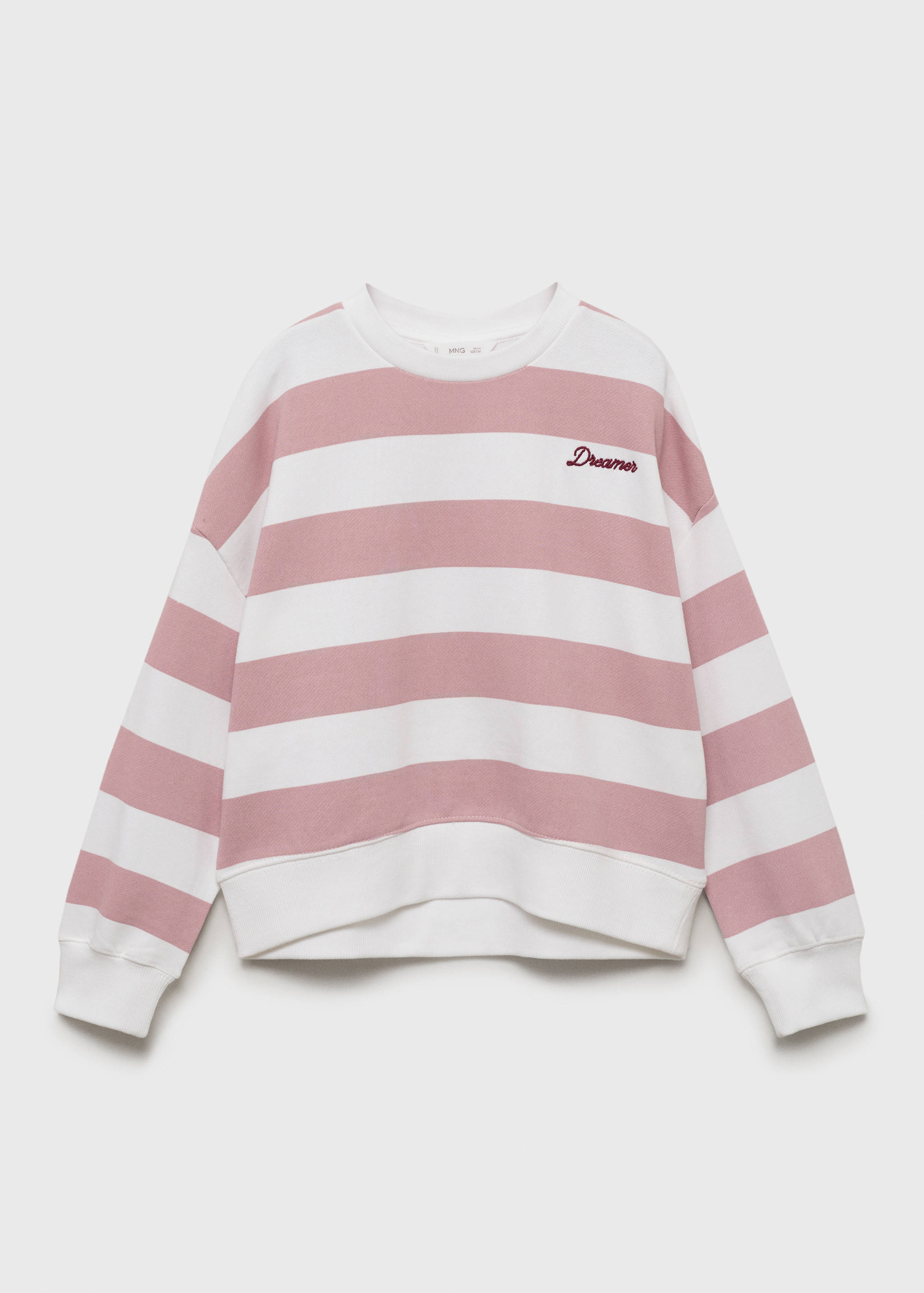 Striped sweatshirt with embroidered detail - Article without model