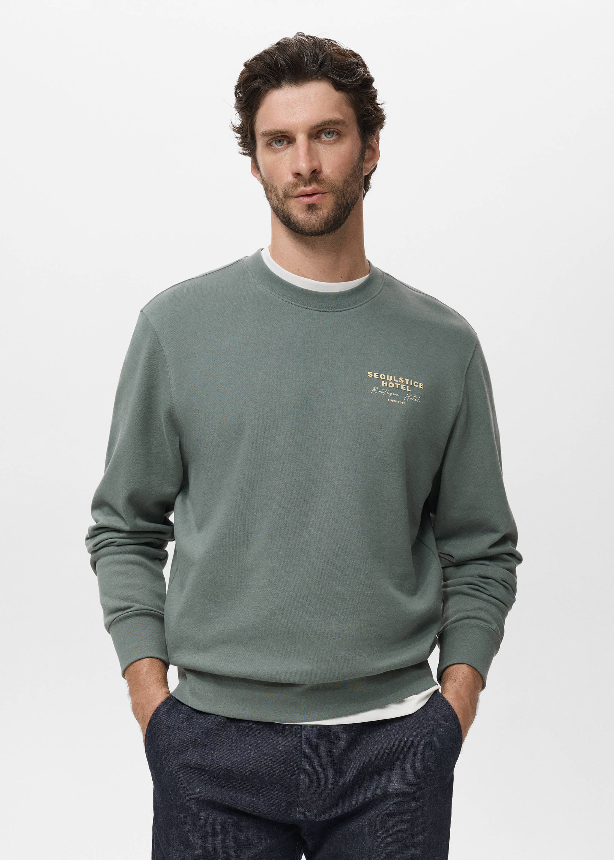 Printed cotton sweatshirt - Medium plane