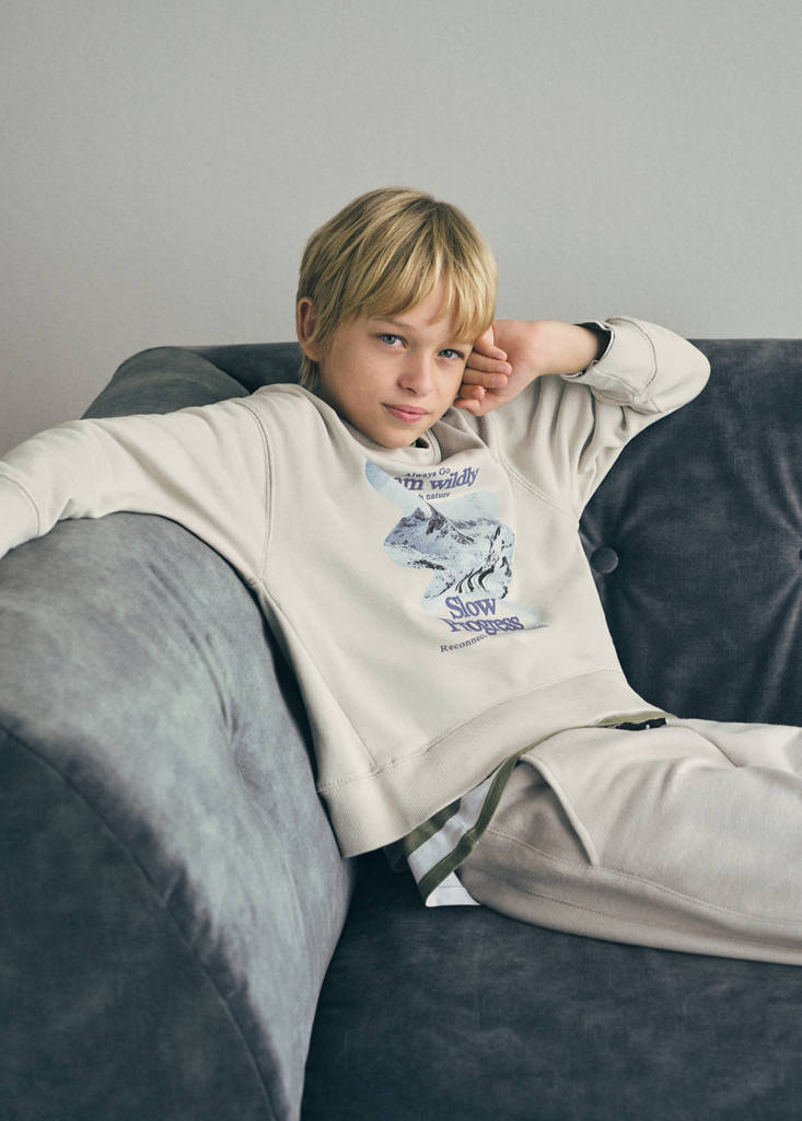 Printed cotton sweatshirt — Ice Grey