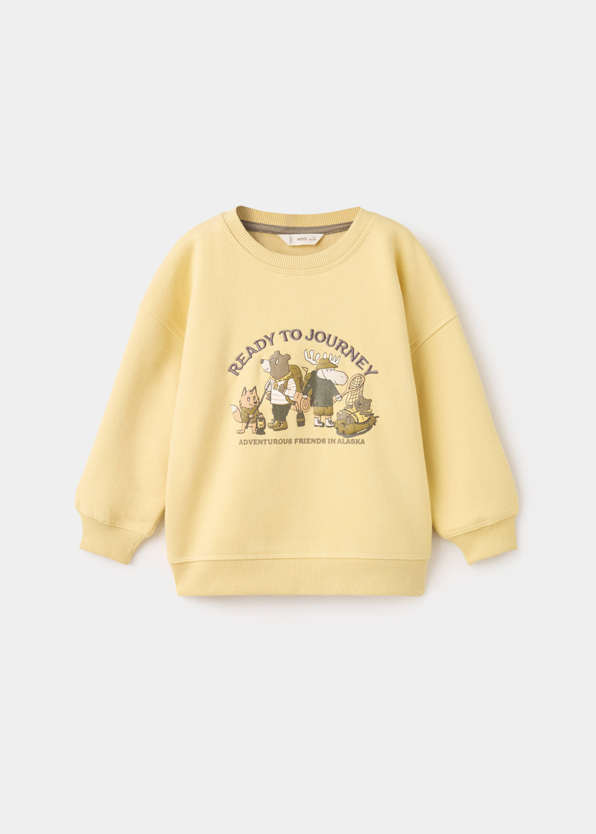 Printed embroidered sweatshirt - Article without model