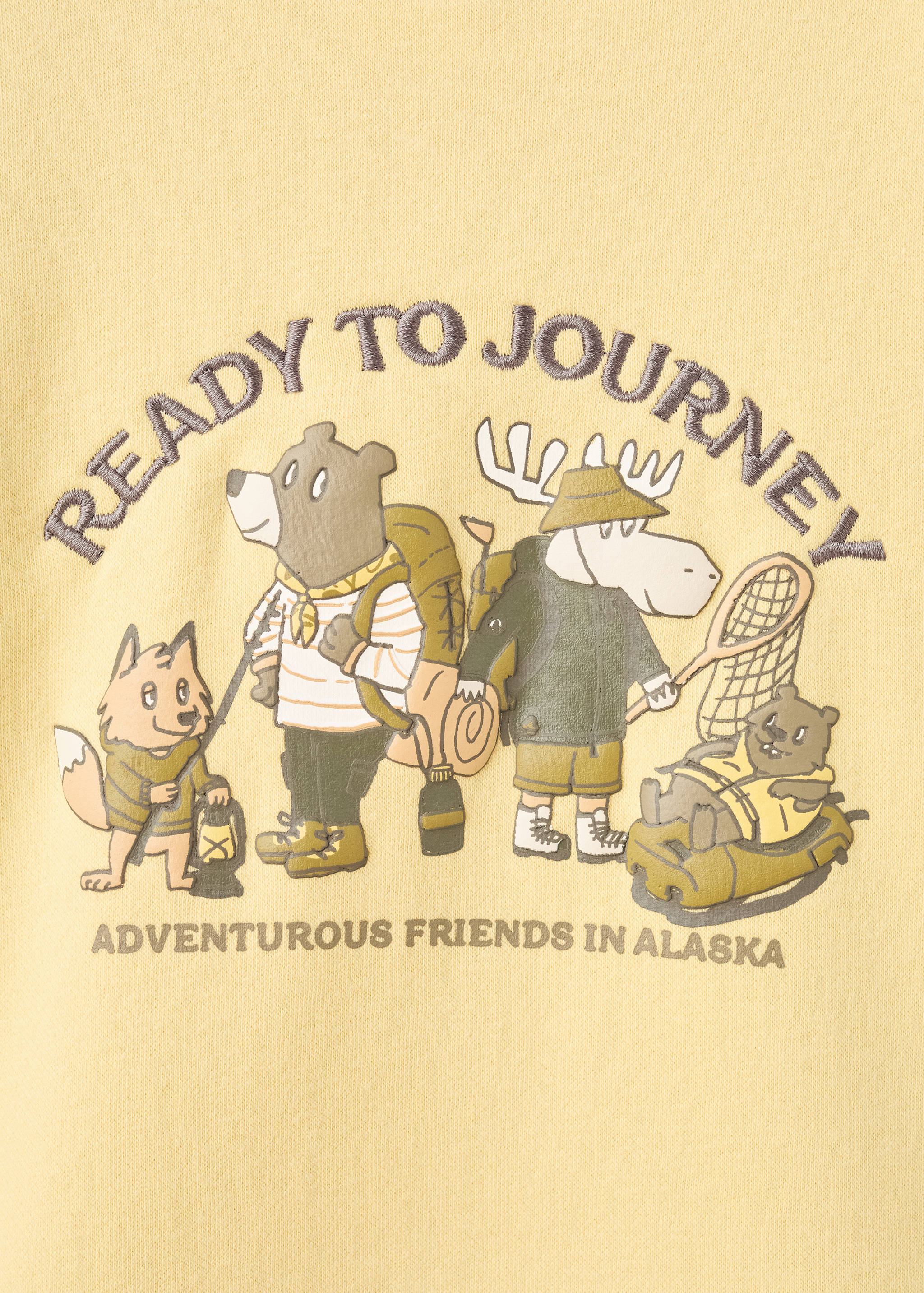 Printed embroidered sweatshirt - Details of the article 0