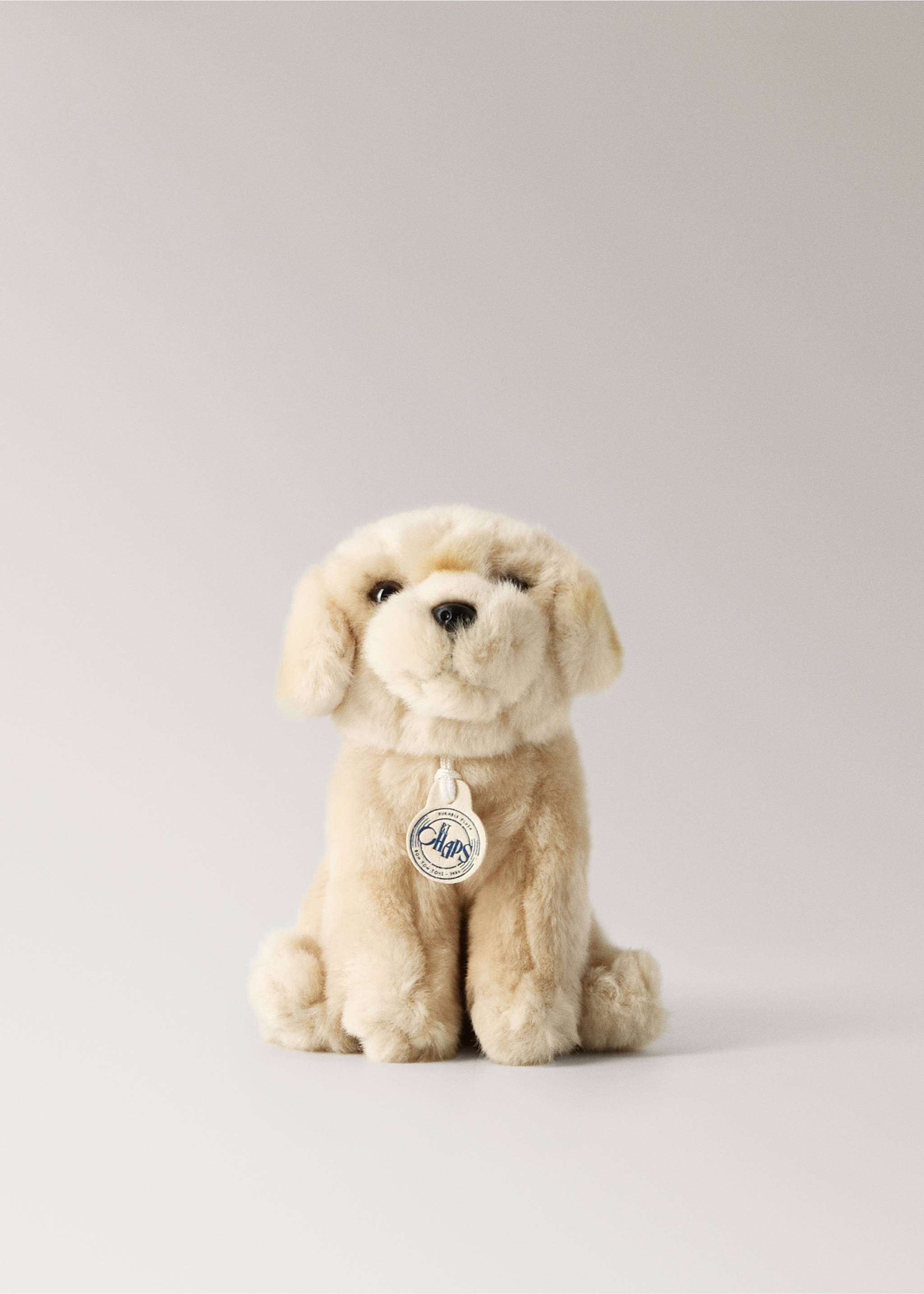 Loulou dog cuddly toy - Article without model, Ecru. Ref: 17027904-00.