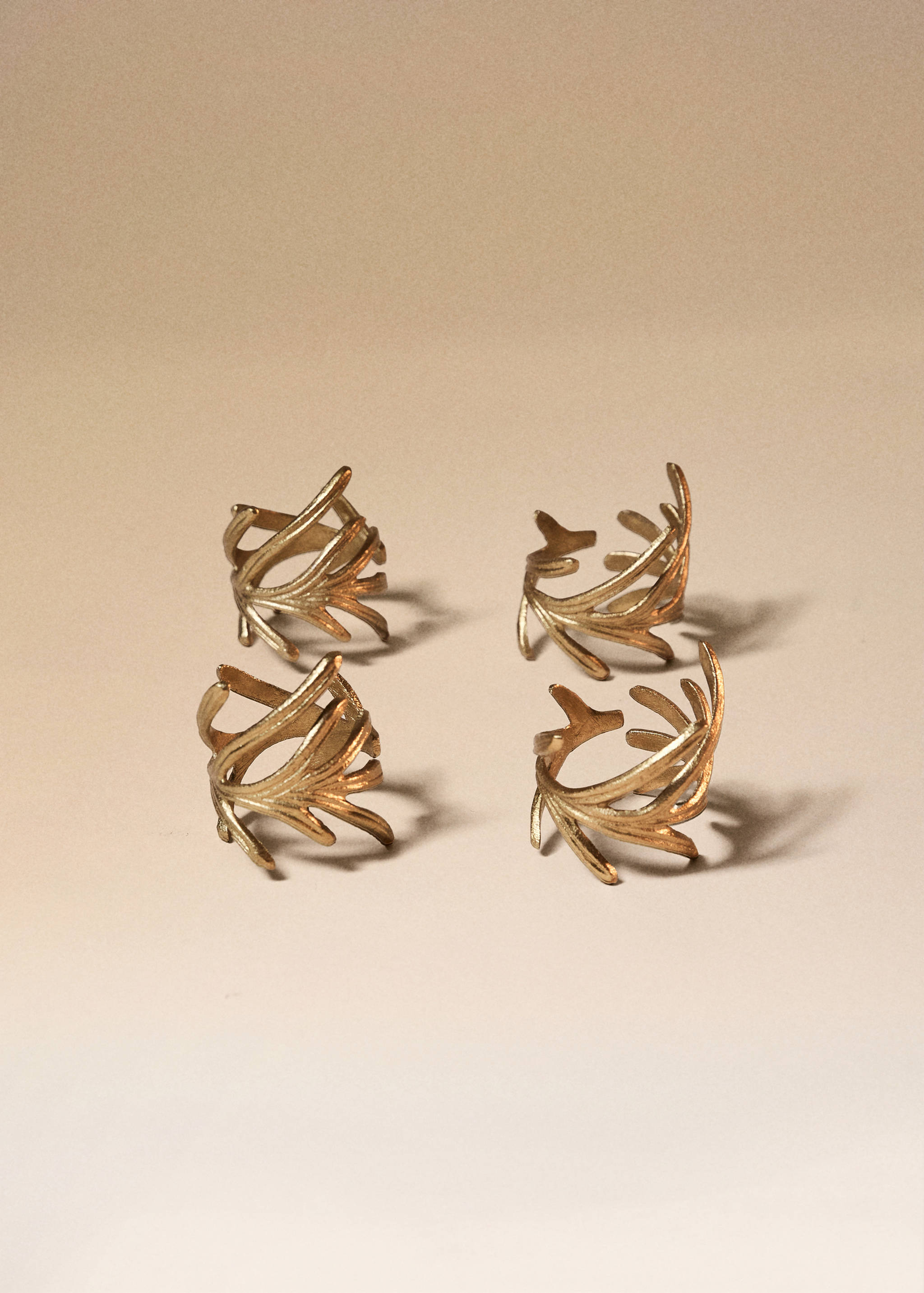 Decorative-leaf napkin holder - General plane