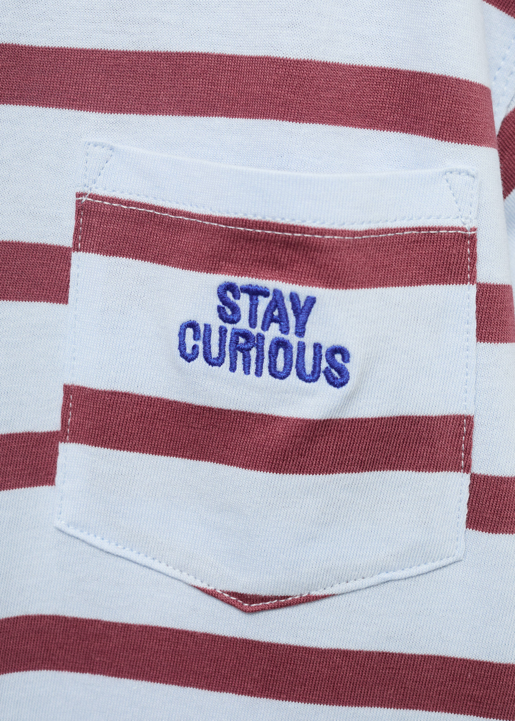 Striped t-shirt with embroidered detail - Details of the article 8