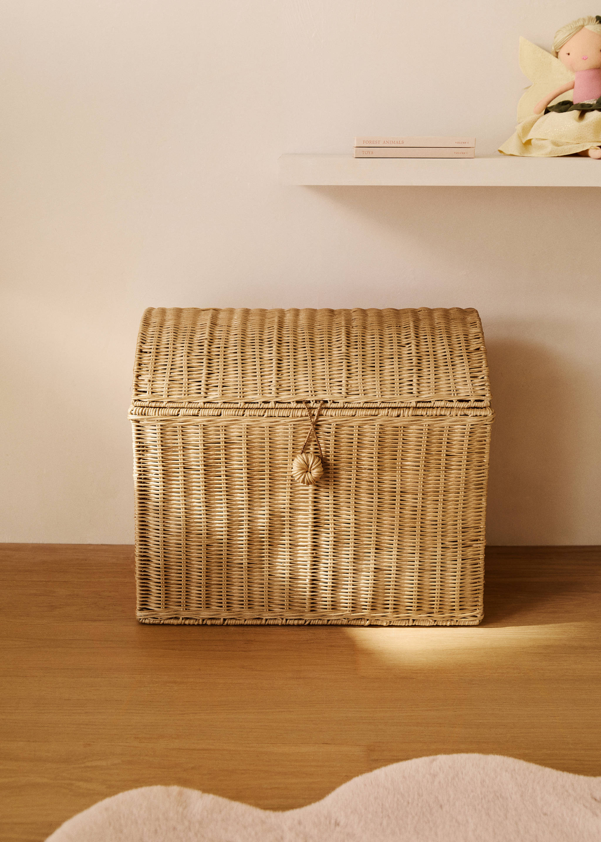 Large rattan trunk basket - General plane