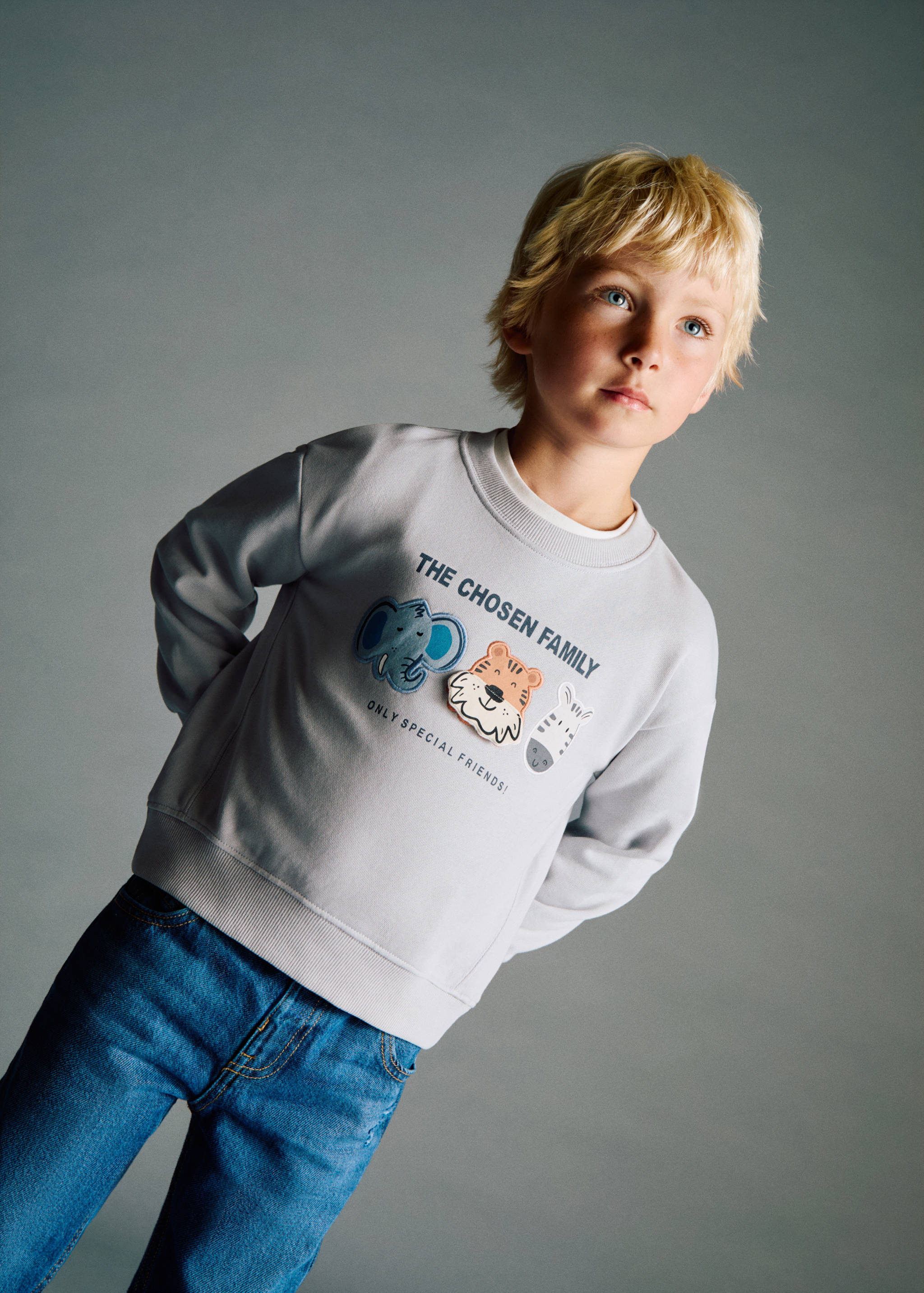 Sudadera animales bordados - Plano general