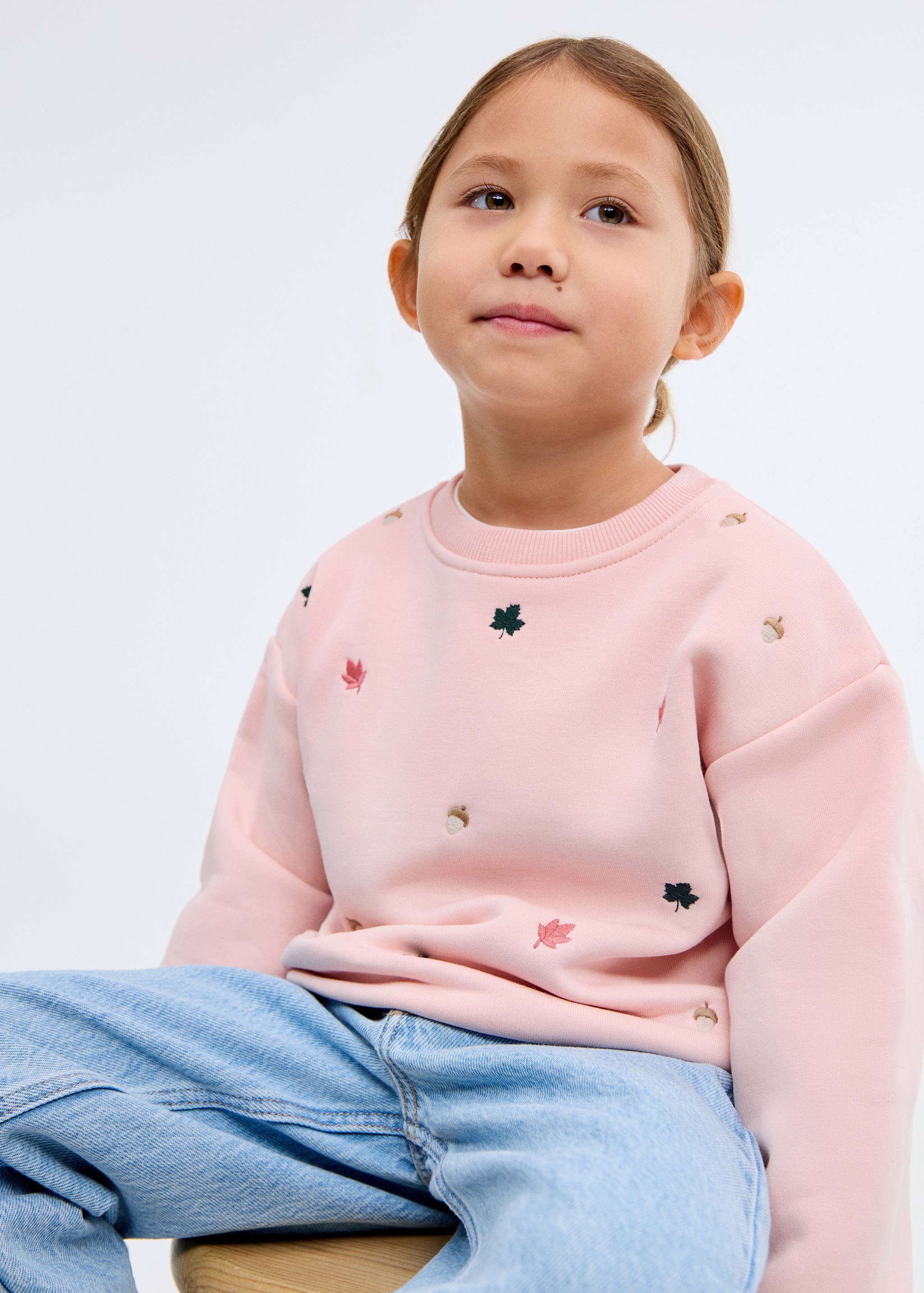 Embroidered cotton sweatshirt - Medium plane