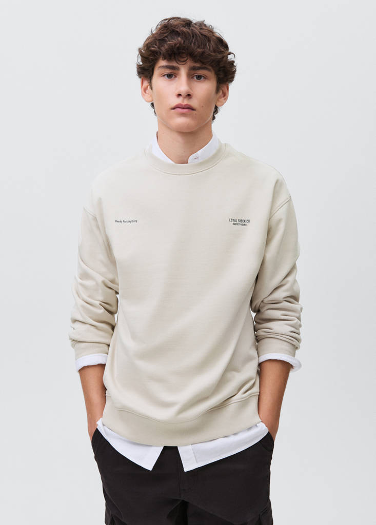 Printed cotton sweatshirt — Light/Pastel Grey