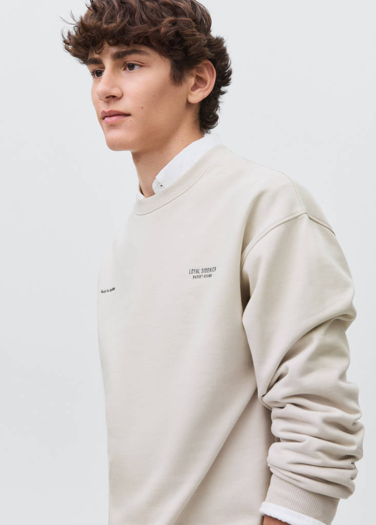 Printed cotton sweatshirt — Light/Pastel Grey