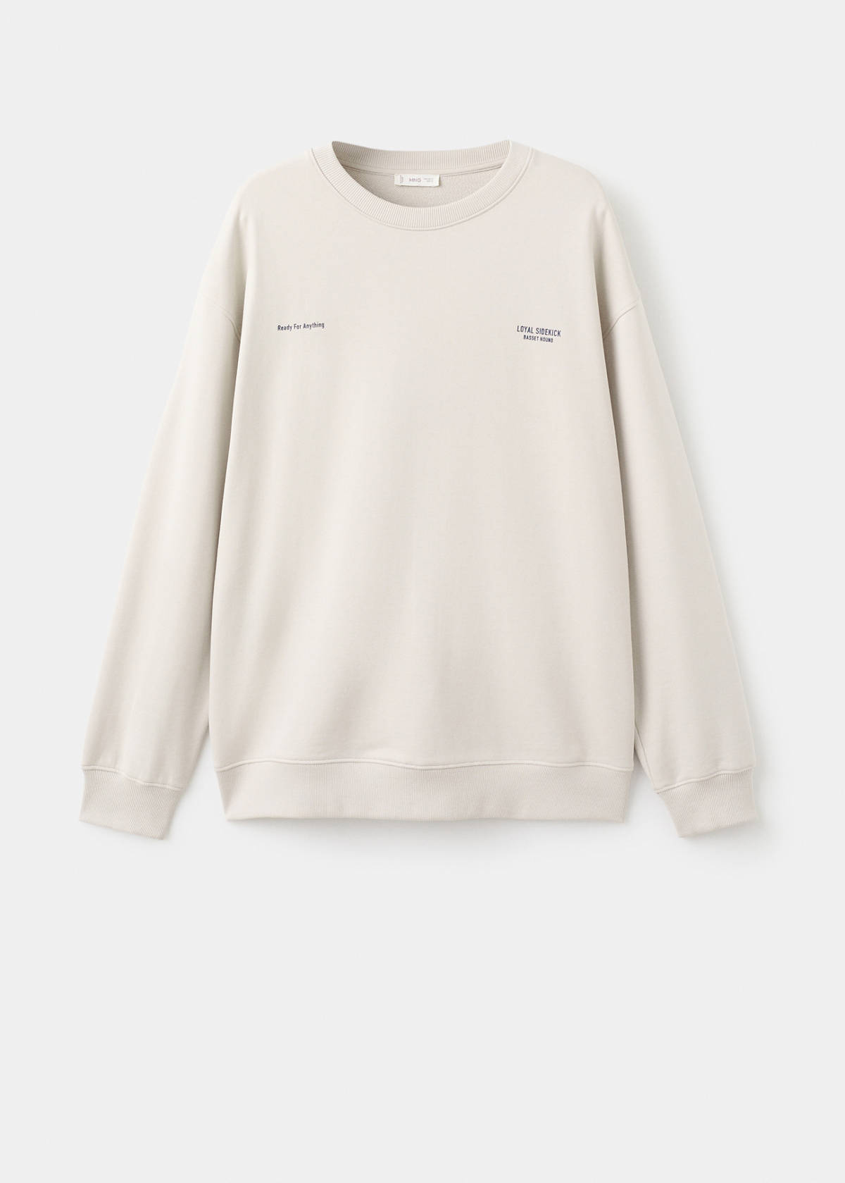 Printed cotton sweatshirt — Light/Pastel Grey