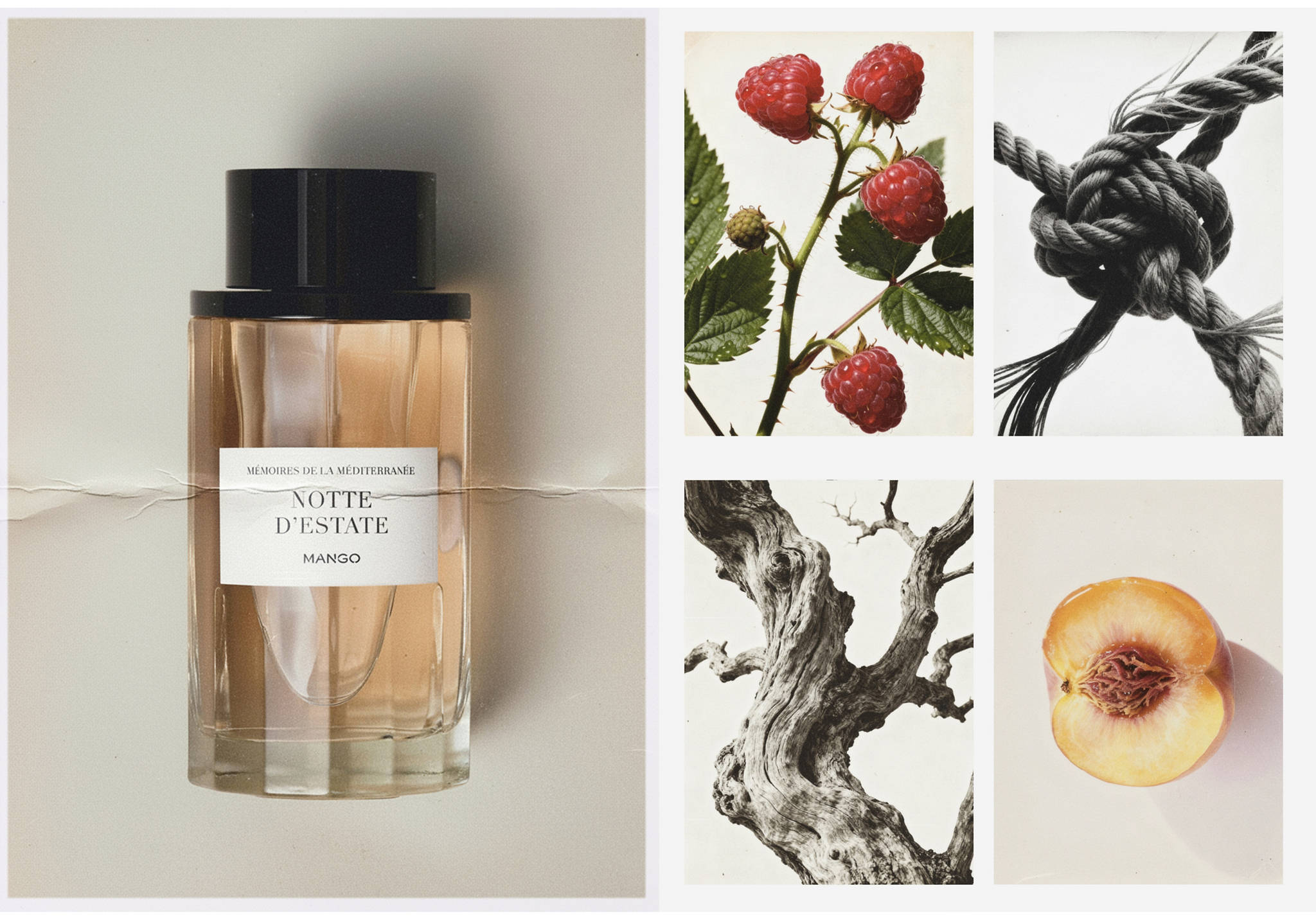 Notte d'Estate fragrance 100 ml - Panoramic plane