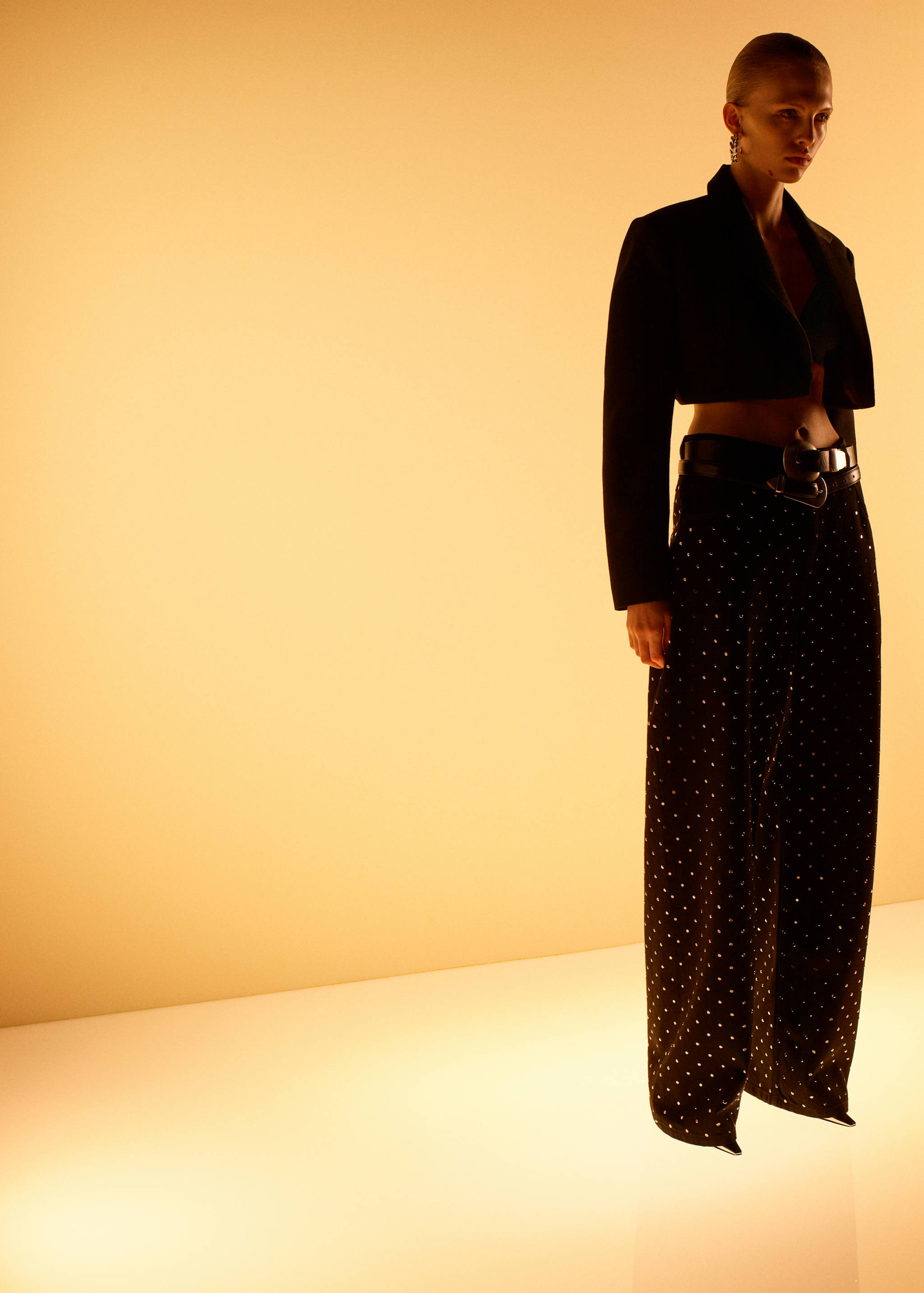 Jean large à strass - Plan général