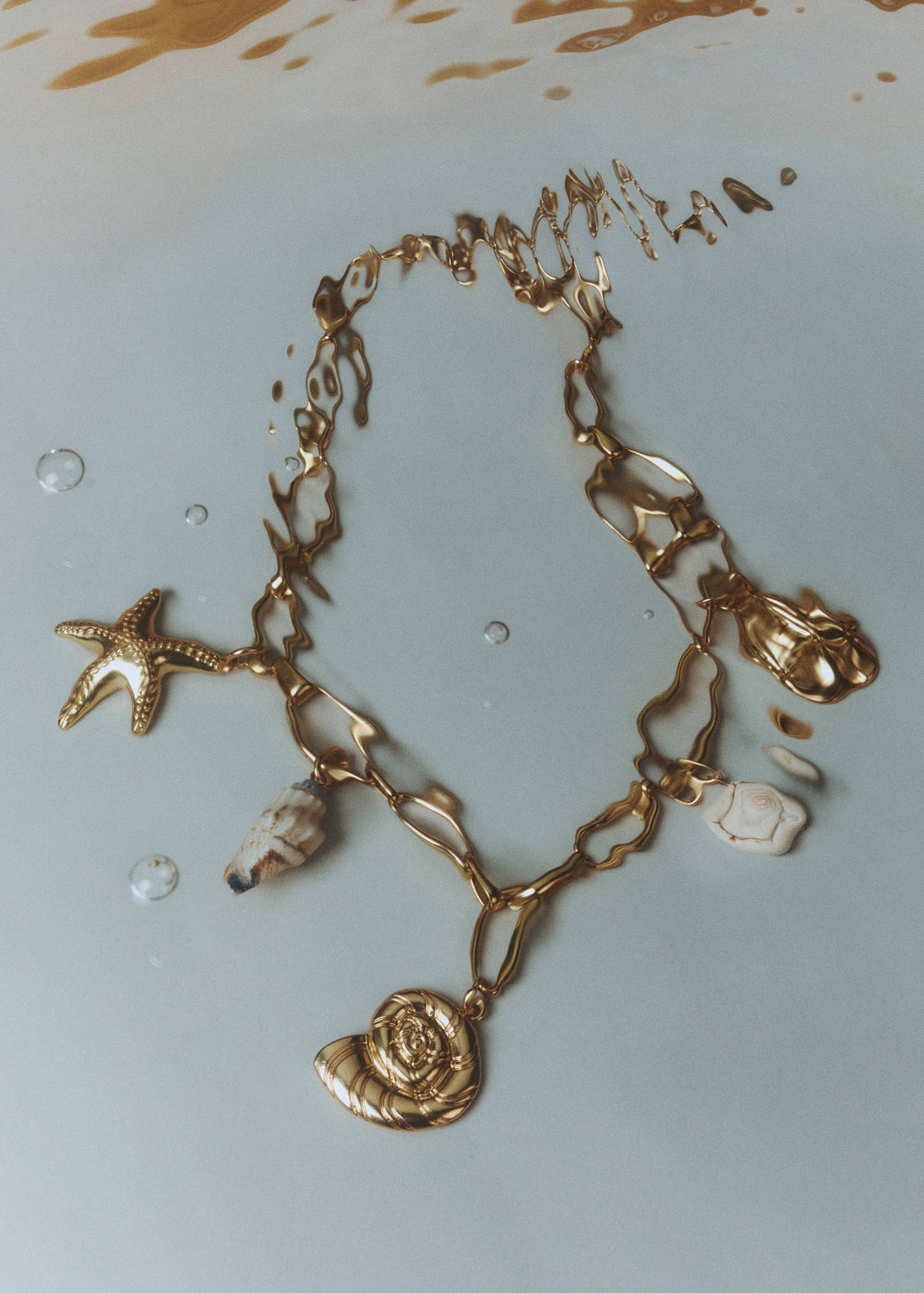 Shells bead necklace - General plane