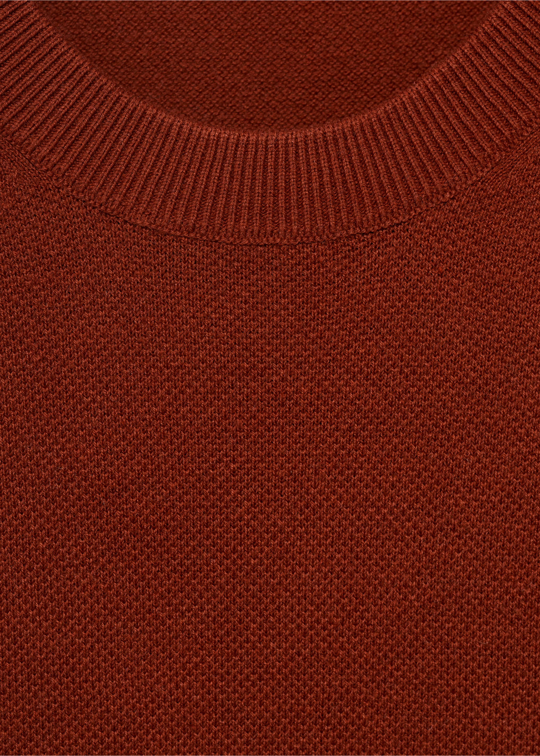 Camiseta punto fino algodón - Detalle del artículo 8, Naranja tostado. Ref: 17041247-00.