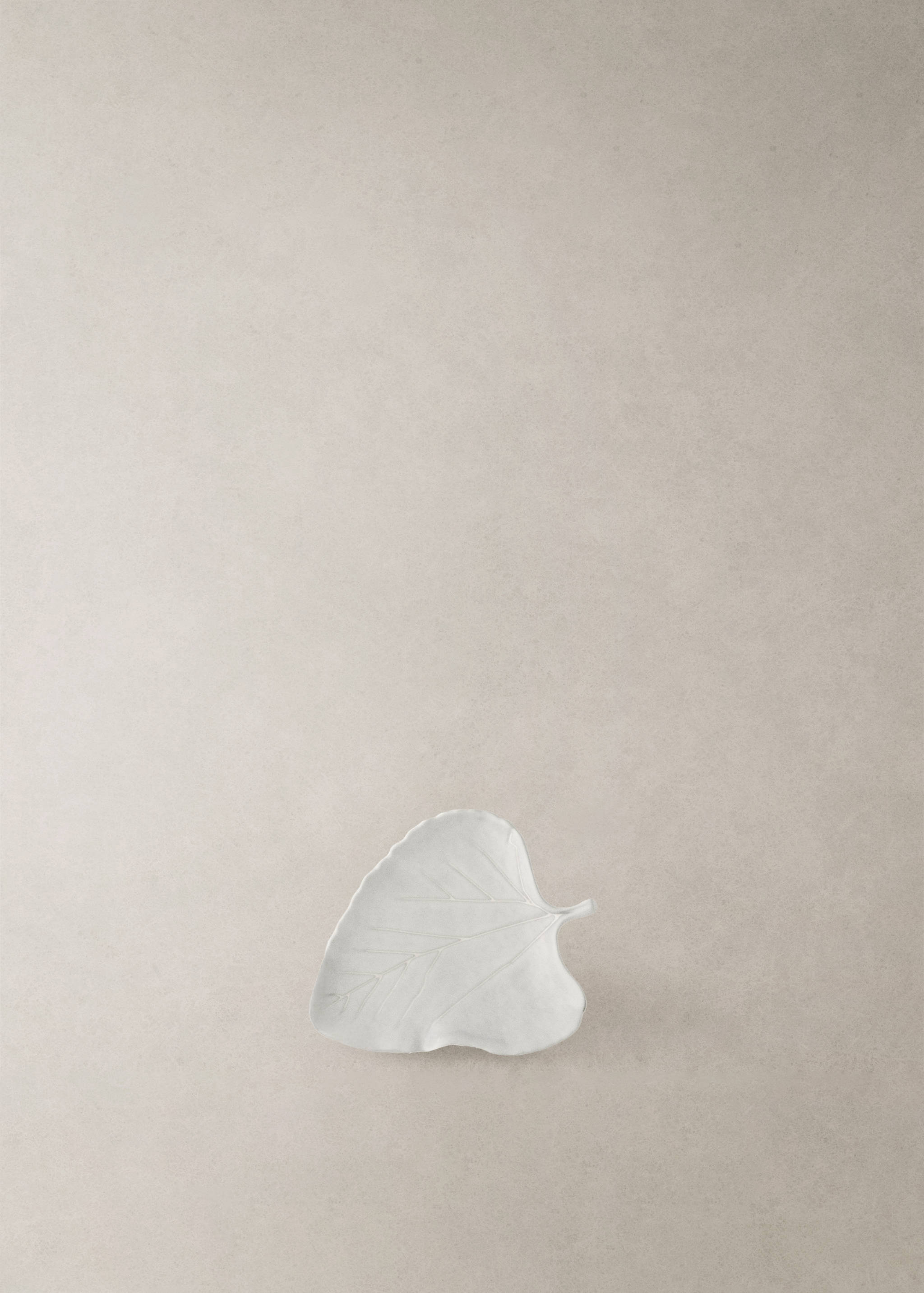 Kleines Blattdesign-Keramikgeschirr - Detail des Artikels 7