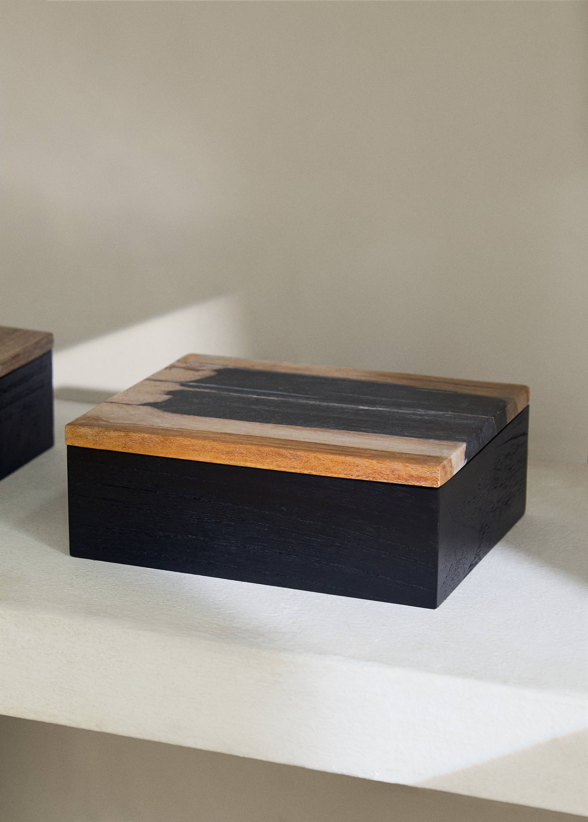 Large decorative box in petrified wood - General plane