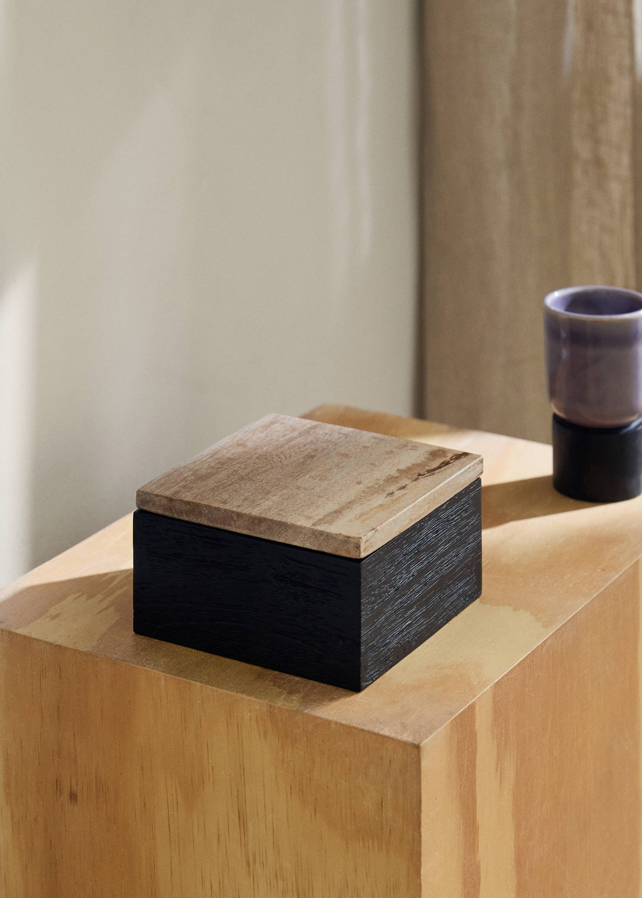 Caixa pequena decorativa de madeira petrificada - Plano geral