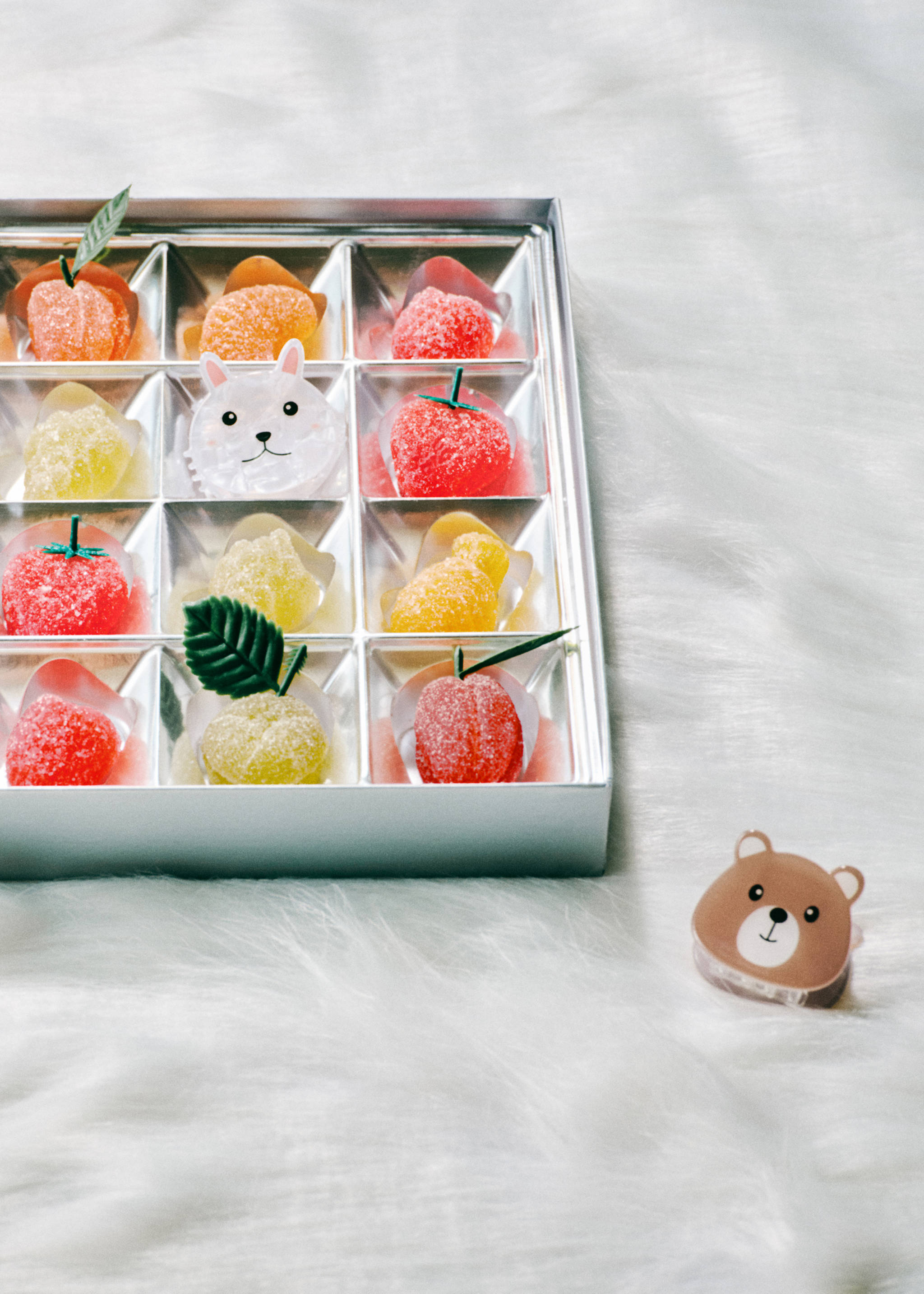 Pack of 2 animal clips - General plane