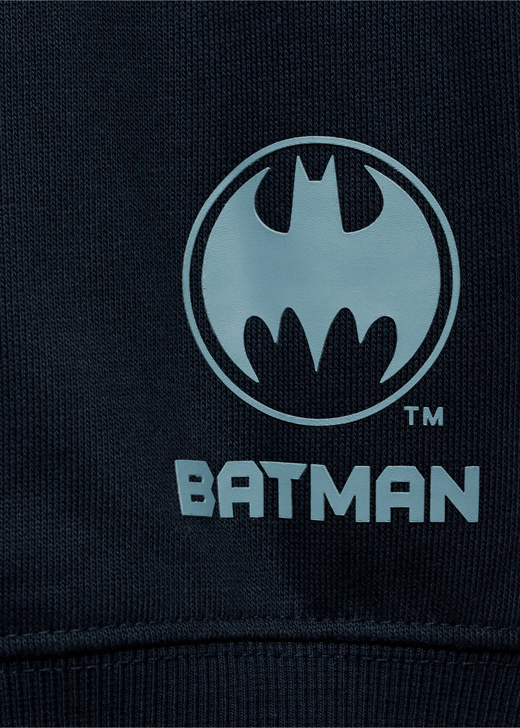 Sudadera Batman - Detalle del artículo 0, Azul marino. Ref: 17044417-00.