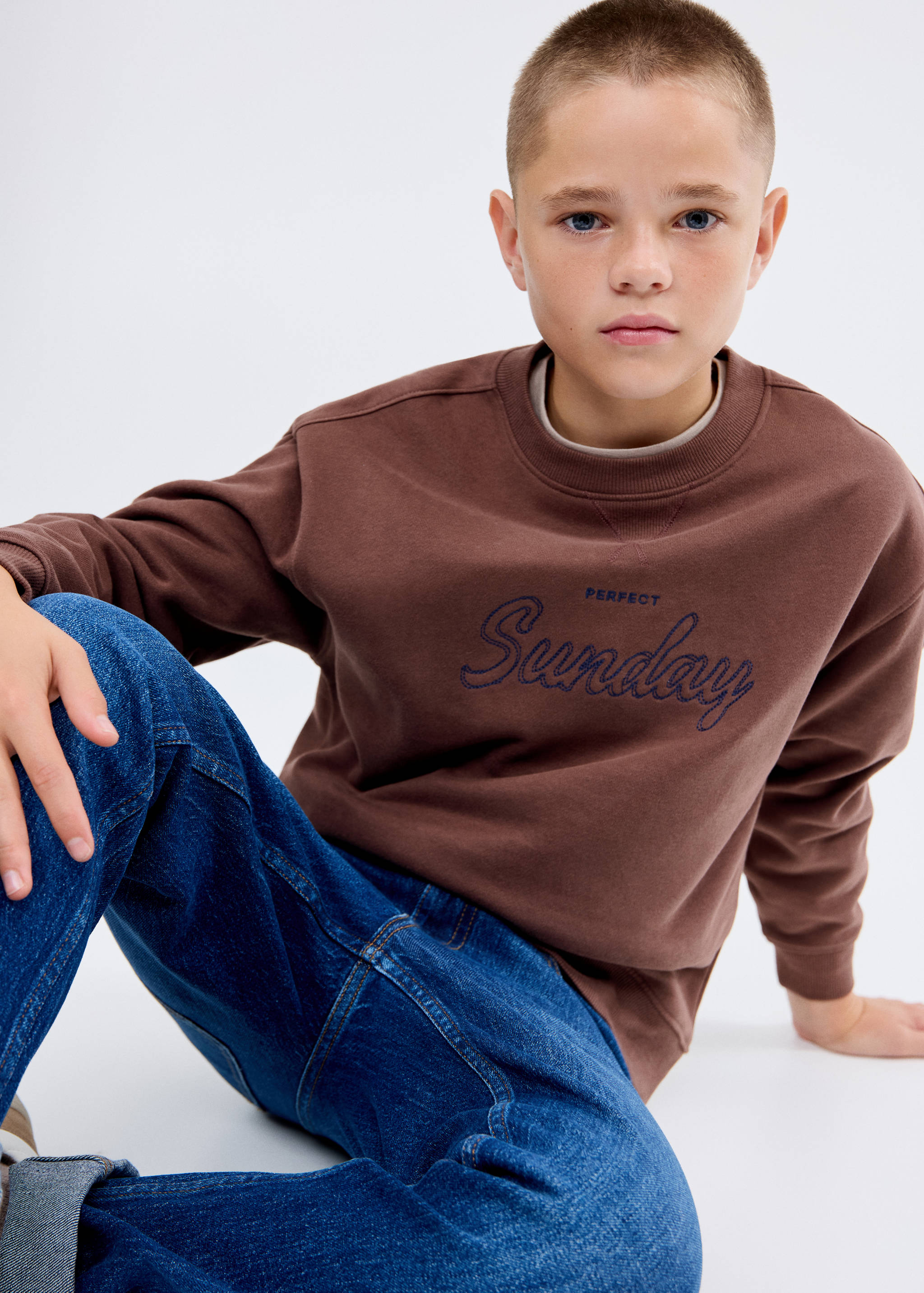 Embroidered cotton sweatshirt - Medium plane