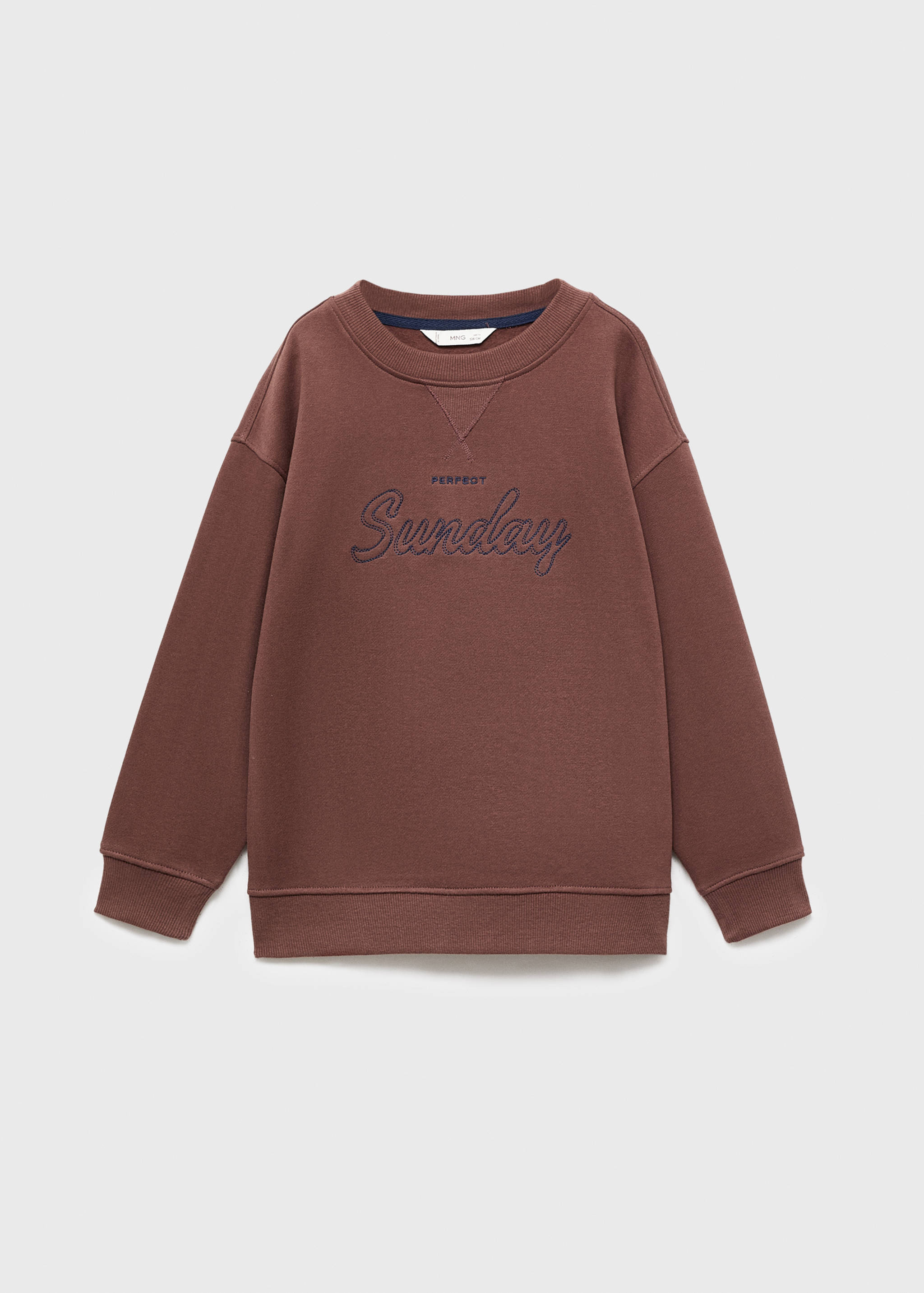Embroidered cotton sweatshirt - Article without model