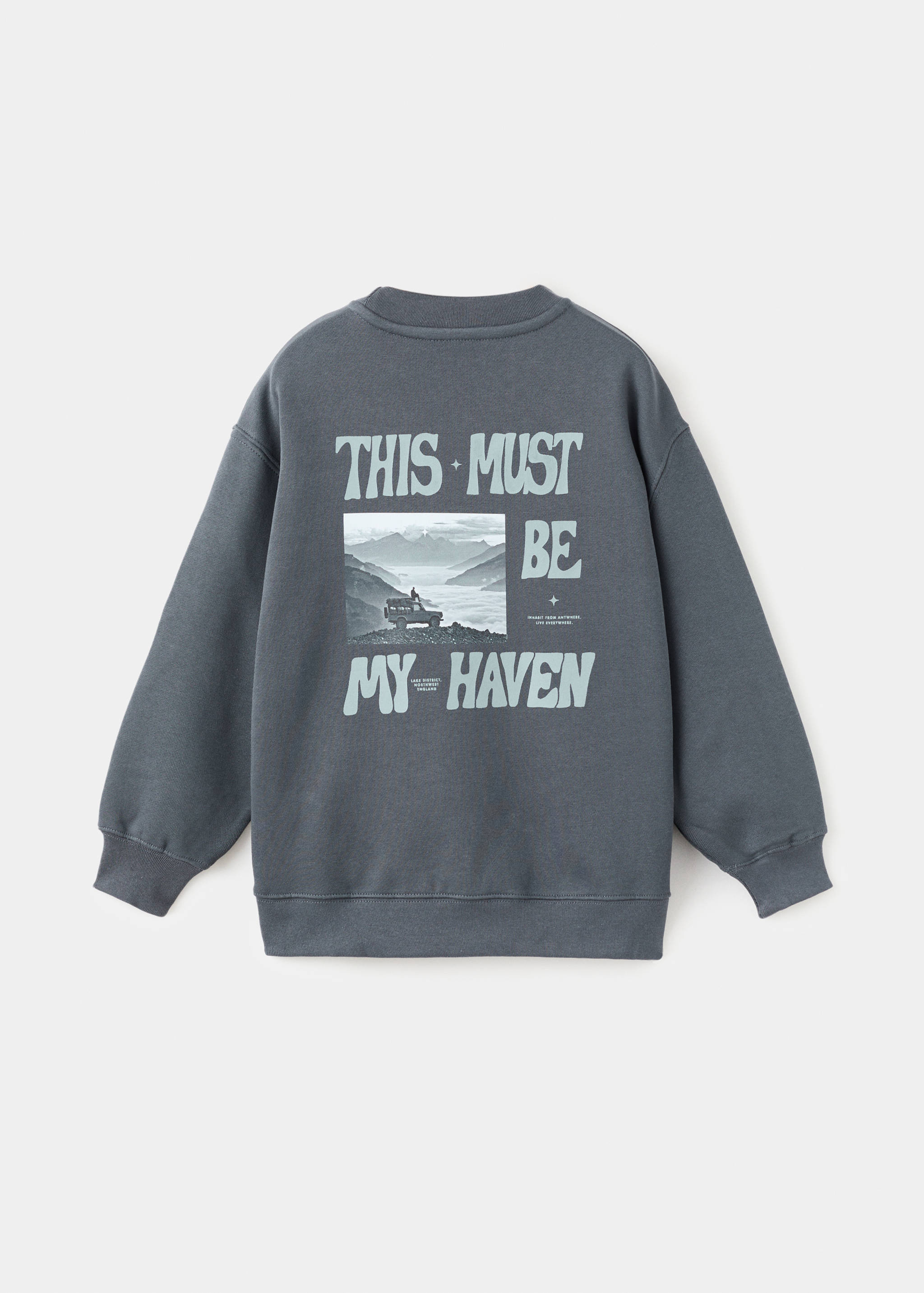 Printed cotton sweatshirt - Reverse of the article