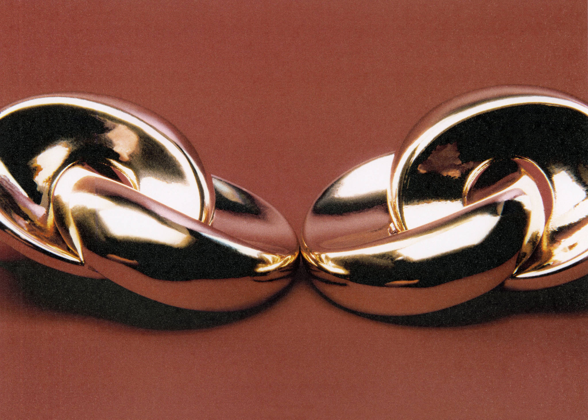 Intertwined hoop earrings - Panoramic plane