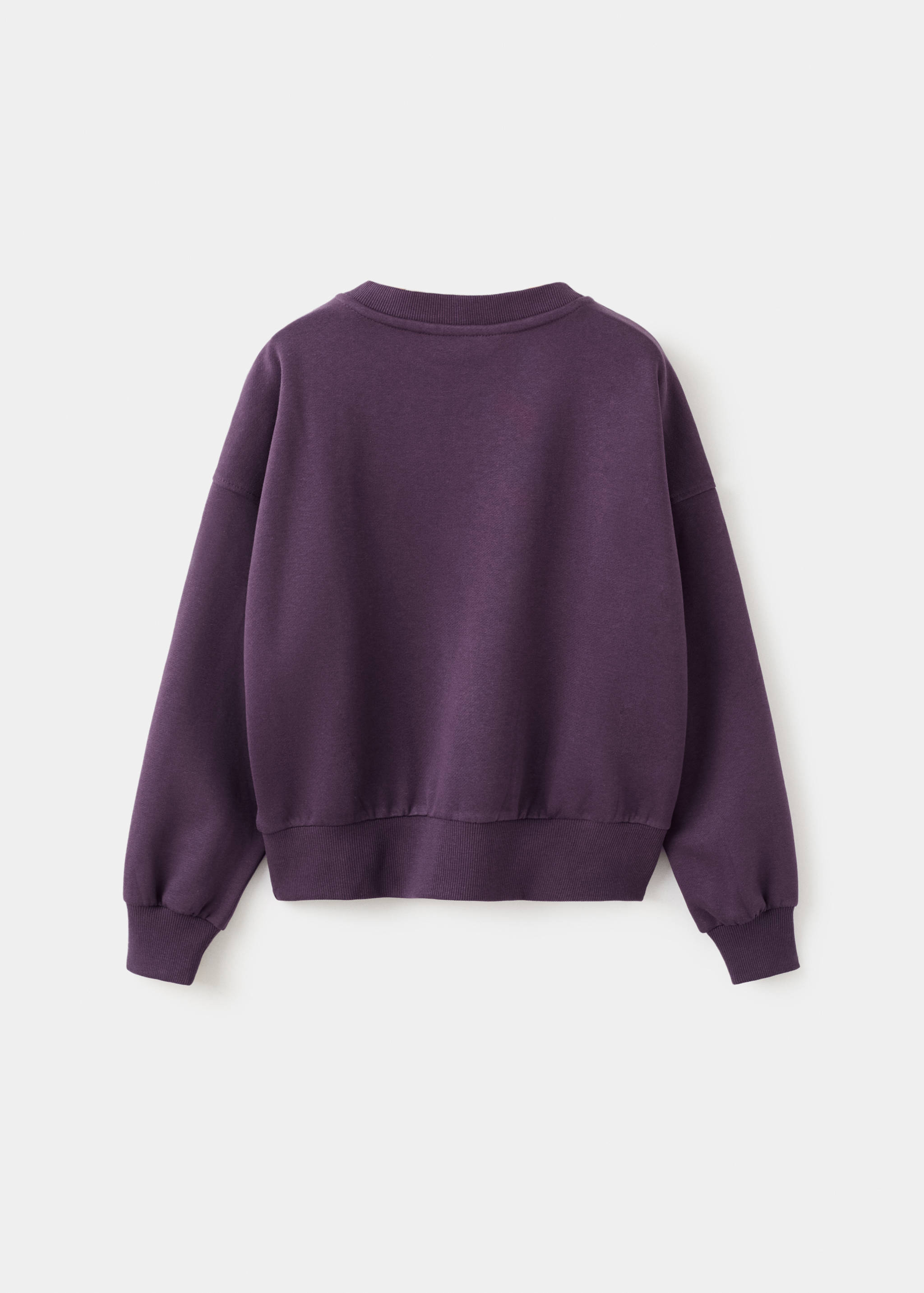 Printed embroidered sweatshirt - Reverse of the article