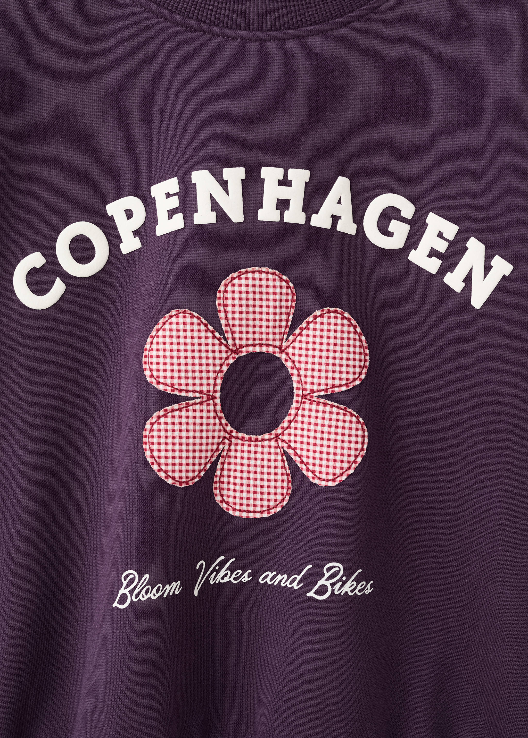 Printed embroidered sweatshirt - Details of the article 0