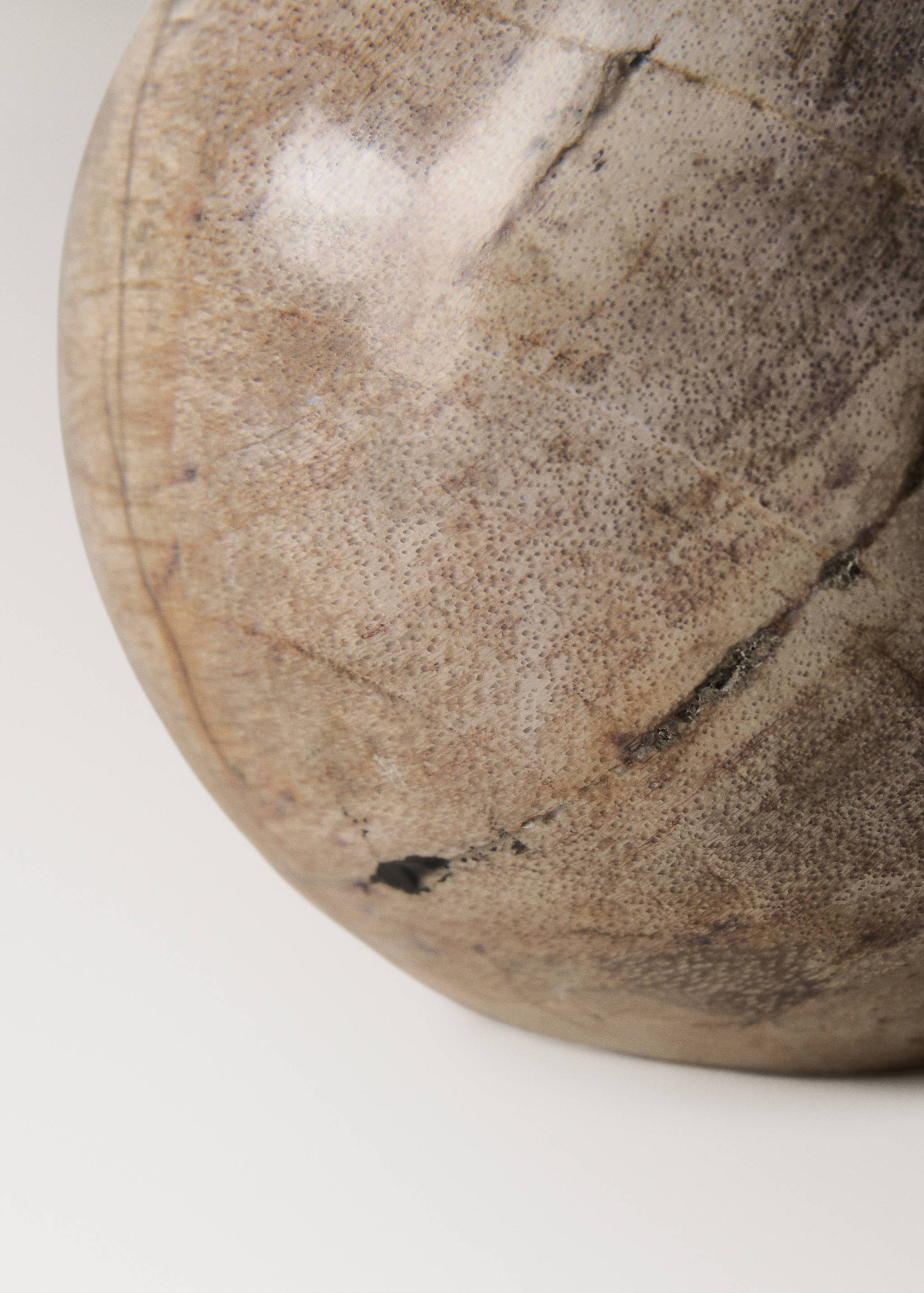 Pesa-papéis madeira petrificada - Pormenor do artigo 1