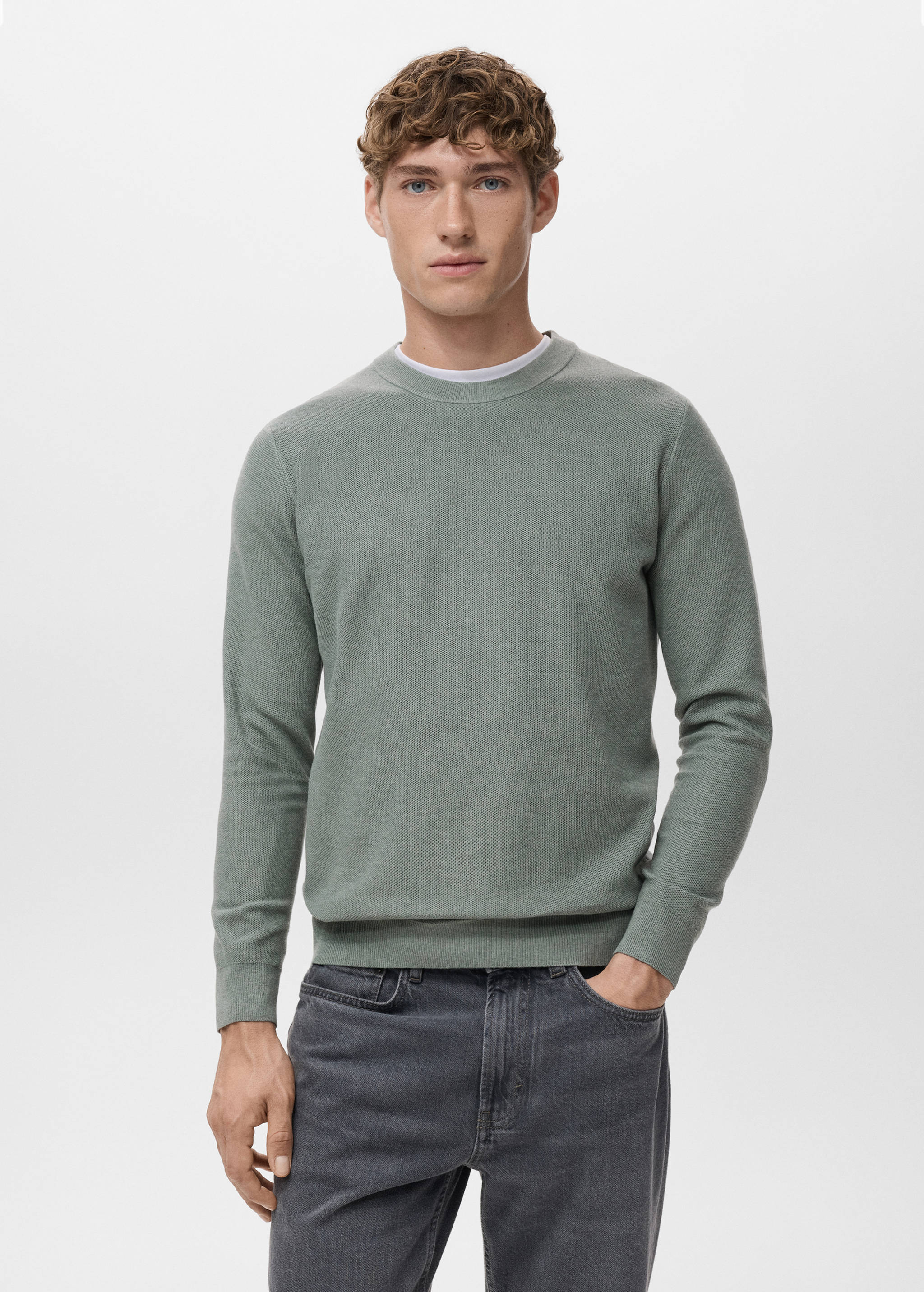 Microstructured cotton knitted sweater - Medium plane