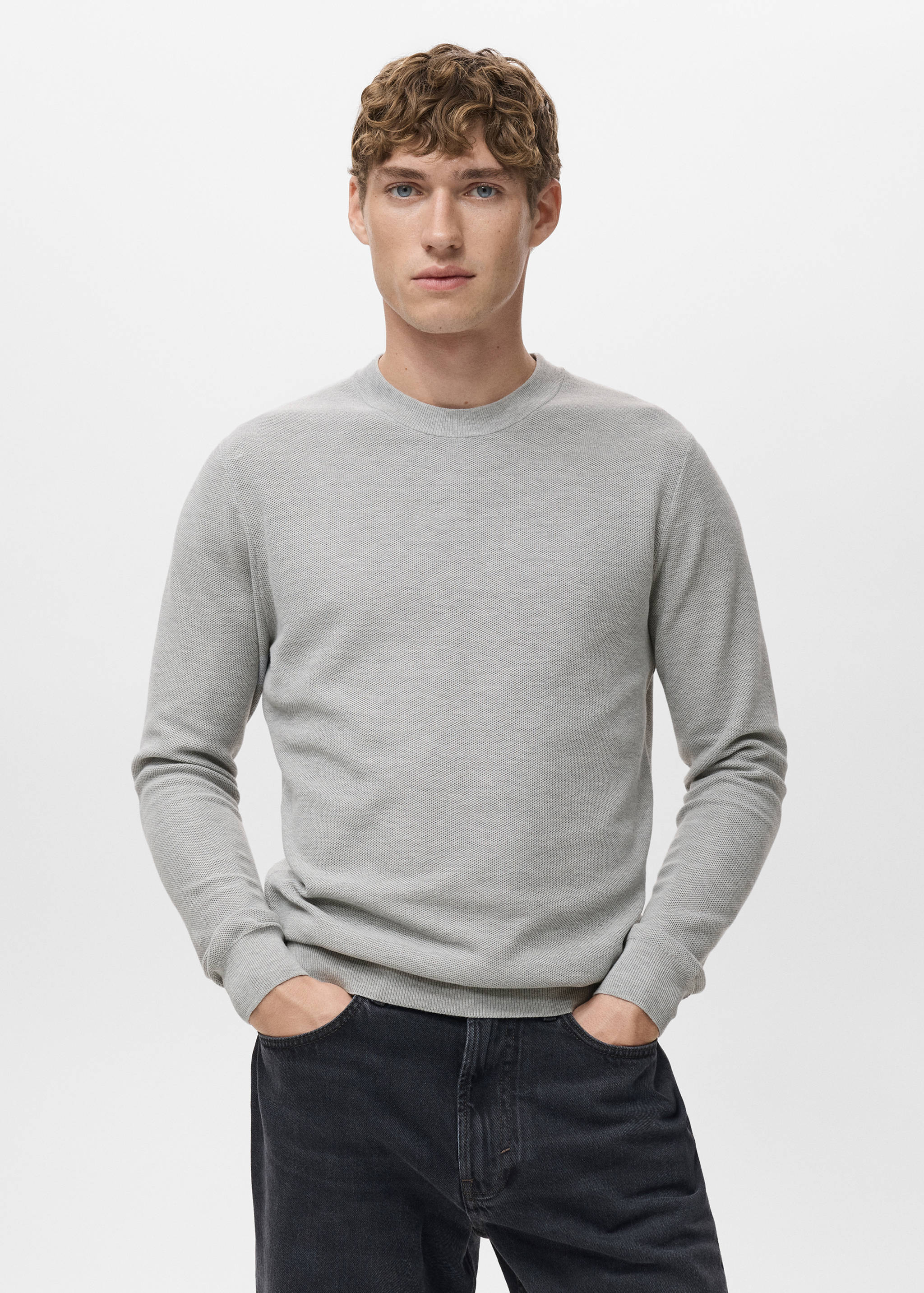 Microstructured cotton knitted sweater - Medium plane