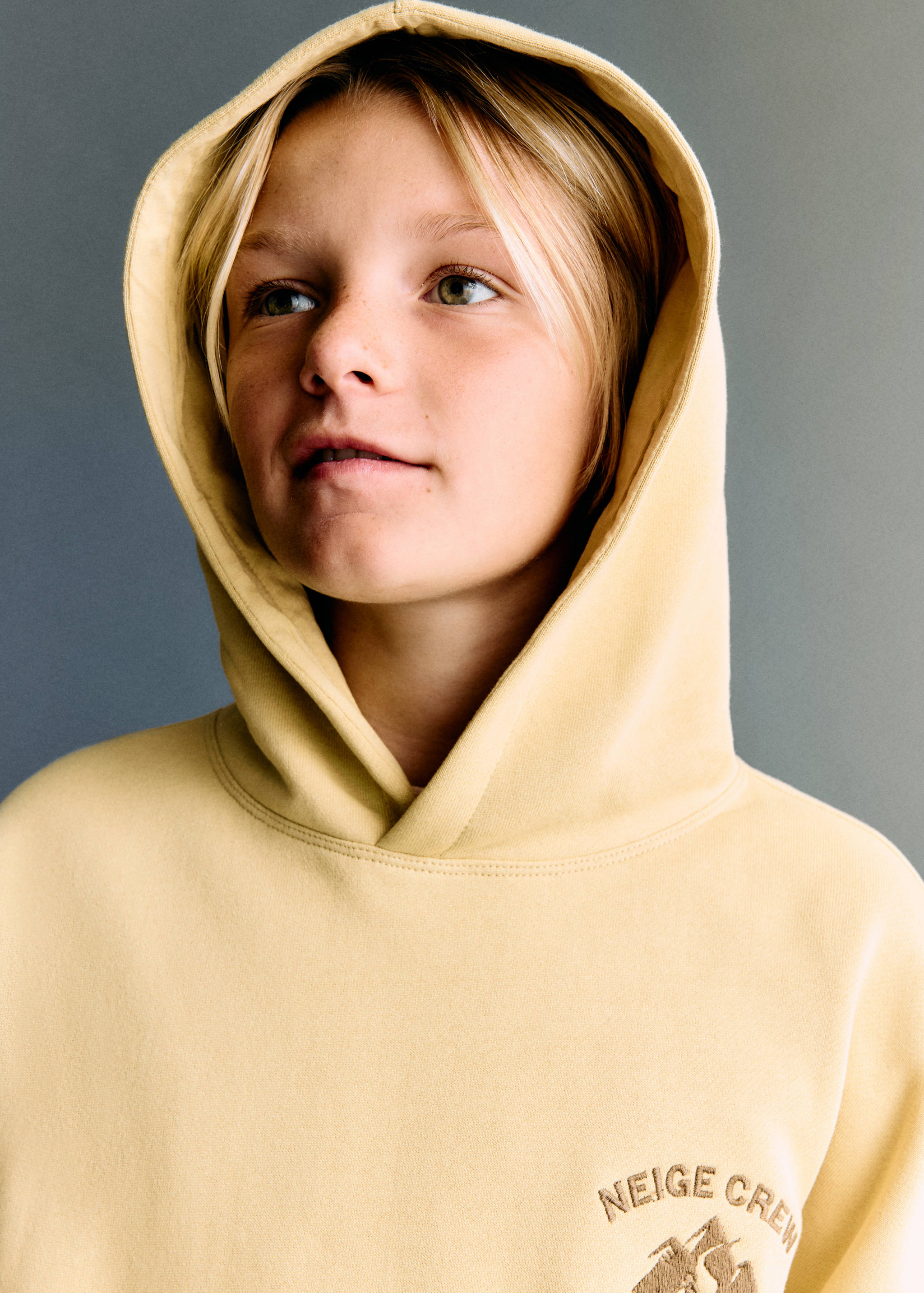 Embroidered cotton sweatshirt - Medium plane