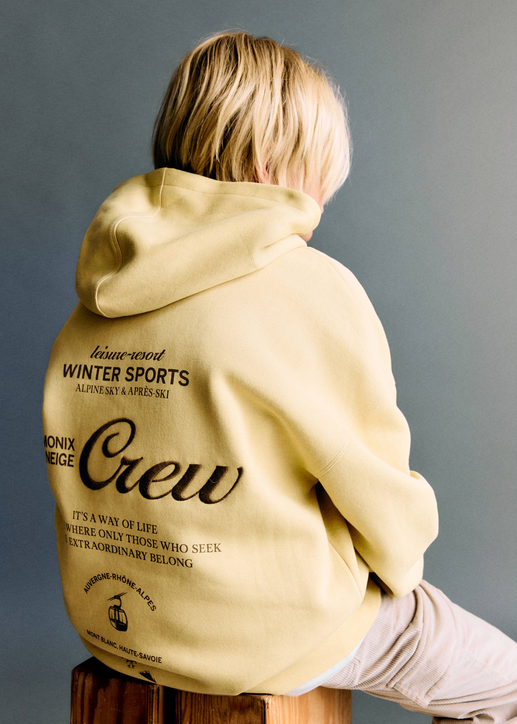 Embroidered cotton sweatshirt - Details of the article 1